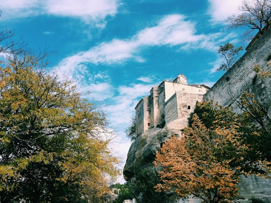 photo of gray stone castle near trees in Les Baux-de-Provence France