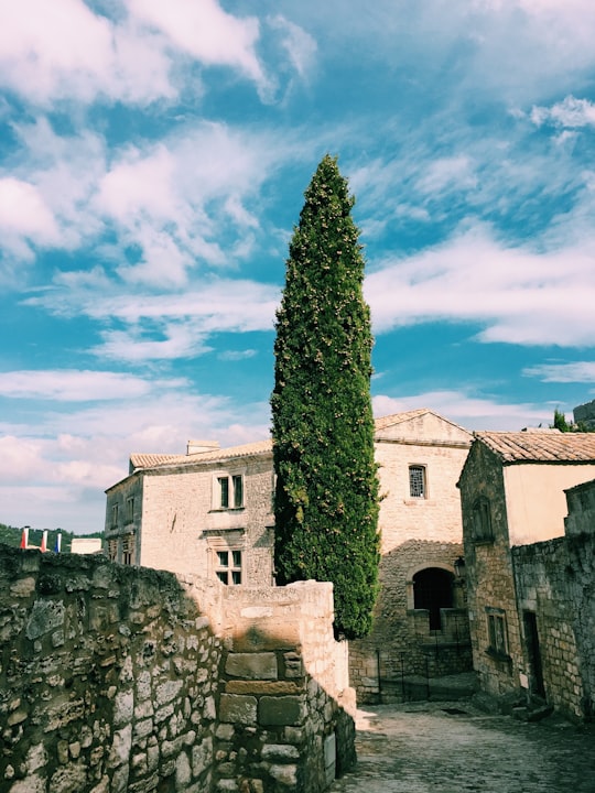 Château des Baux de Provence things to do in Oppède