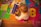 A small child is seated on a colorful foam play mat engaged with a book titled 'Moonbeam Bear.' Several other children's books are scattered around. The flooring underneath the mat is wooden, and there is a pink basket nearby.