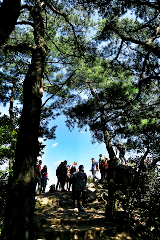 A group of volunteers planting native trees along a sunlit trail in Staunton State Park.