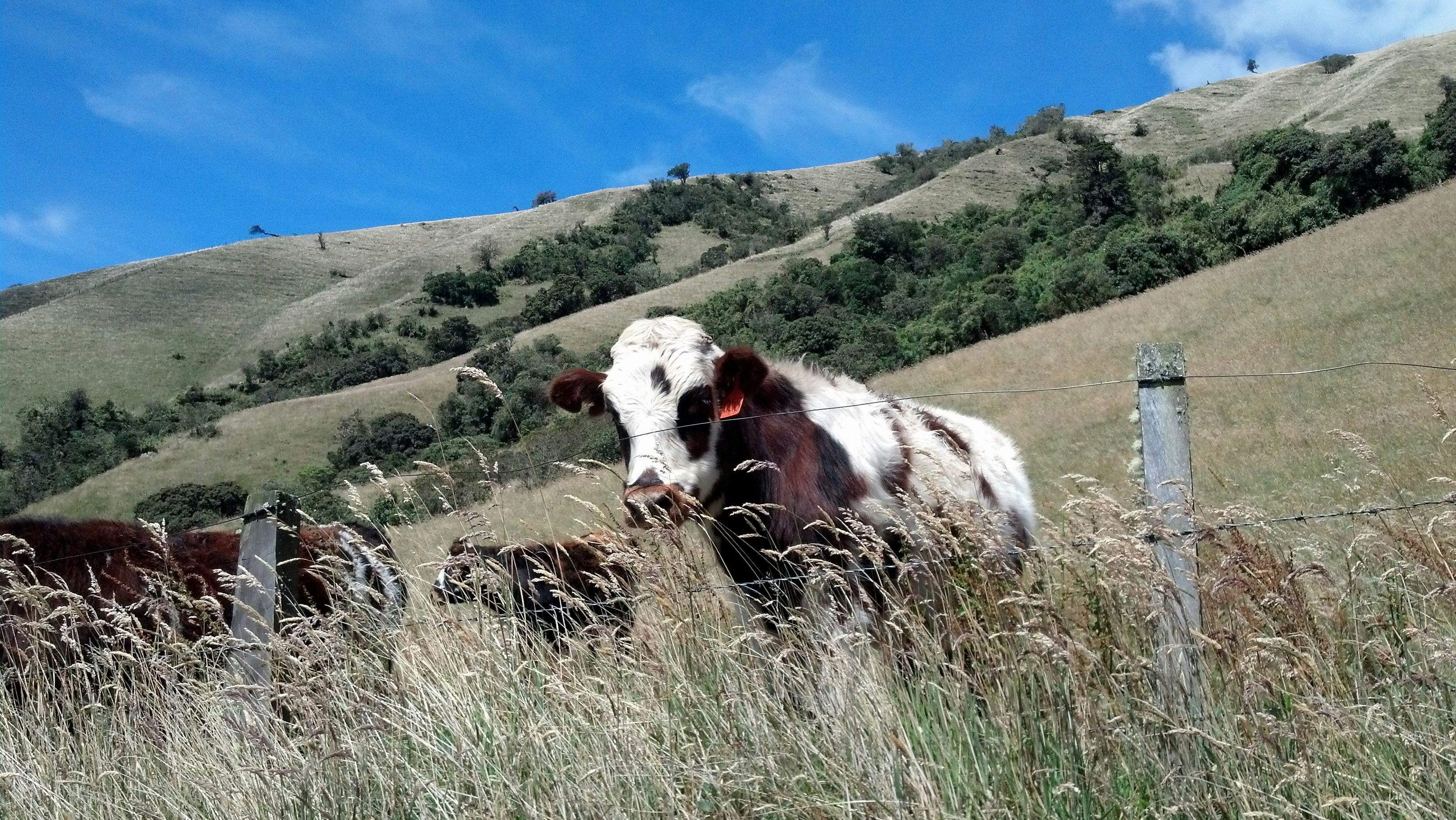 Free Unsplash photo from Jonatan Lopez