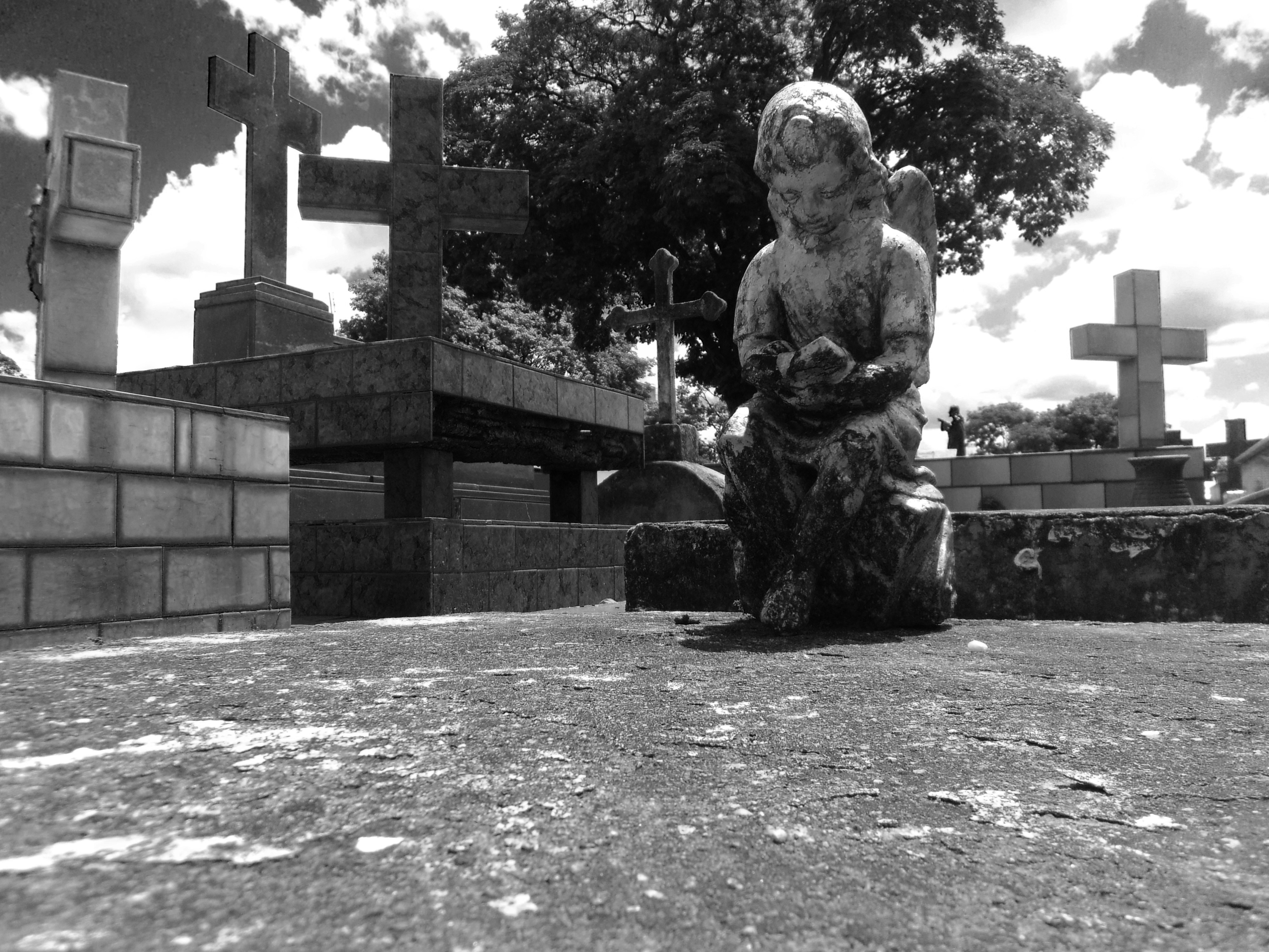 Free Unsplash photo from Thiago Tolesani