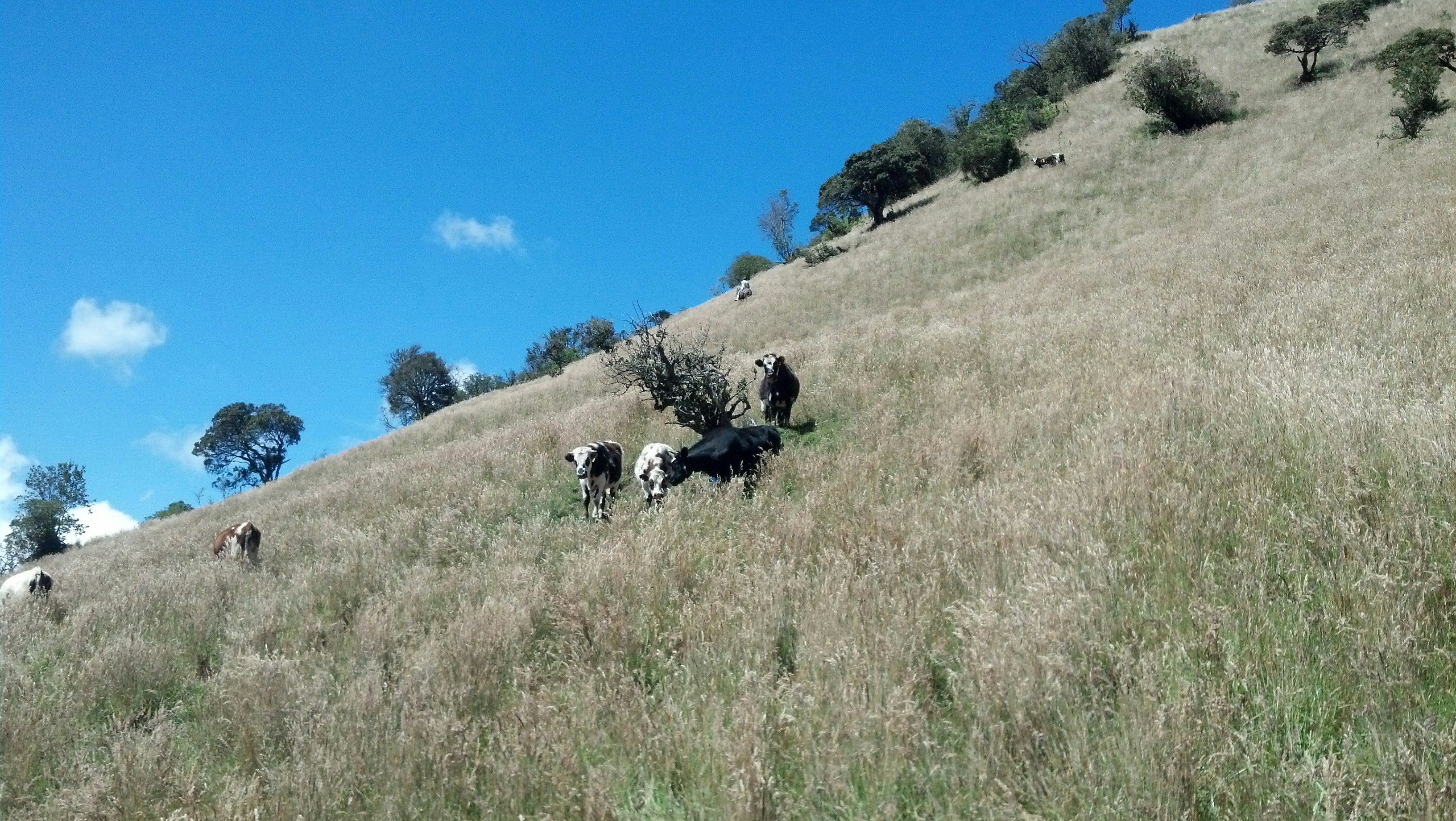 Free Unsplash photo from Jonatan Lopez