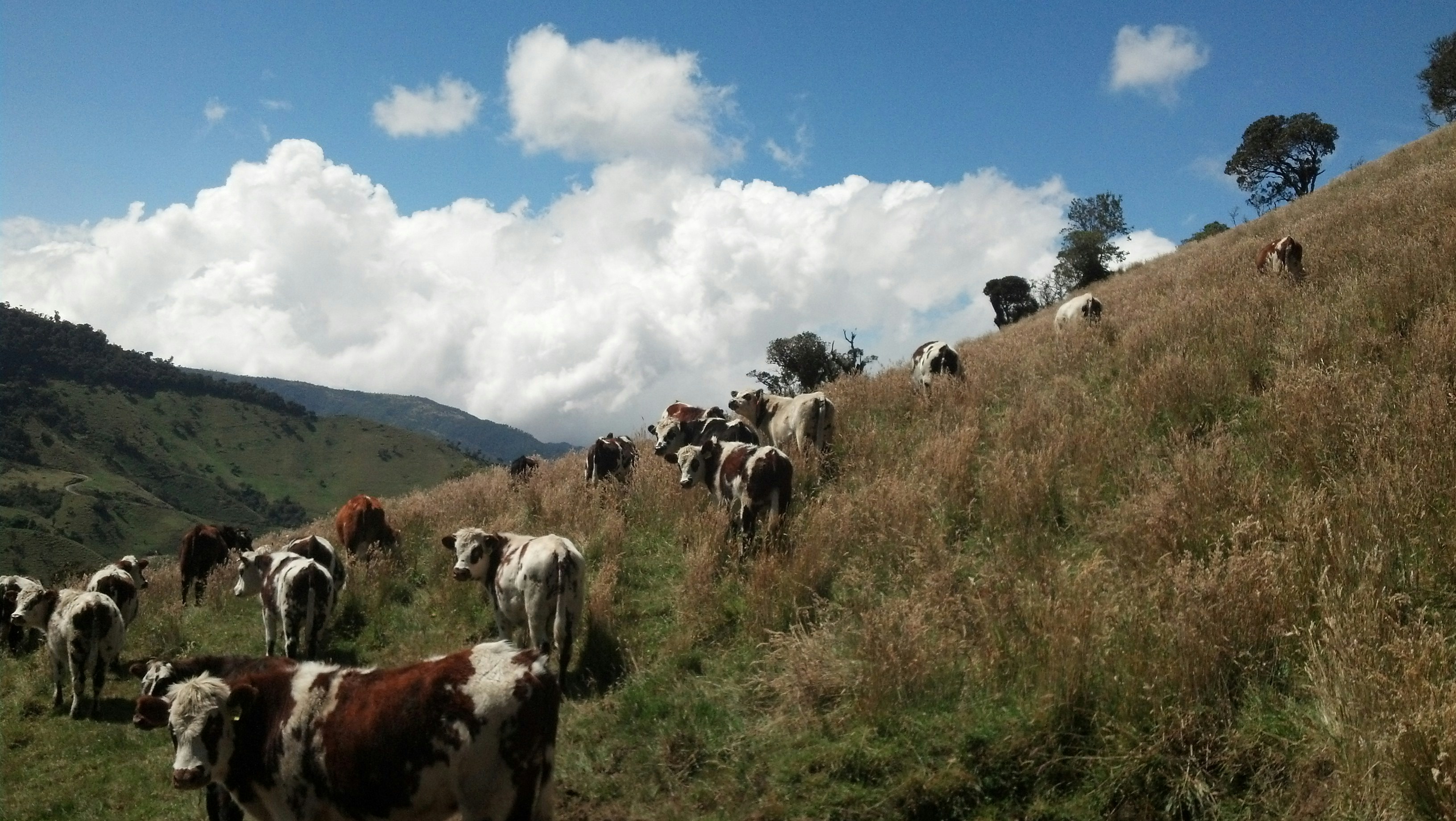 Free Unsplash photo from Jonatan Lopez