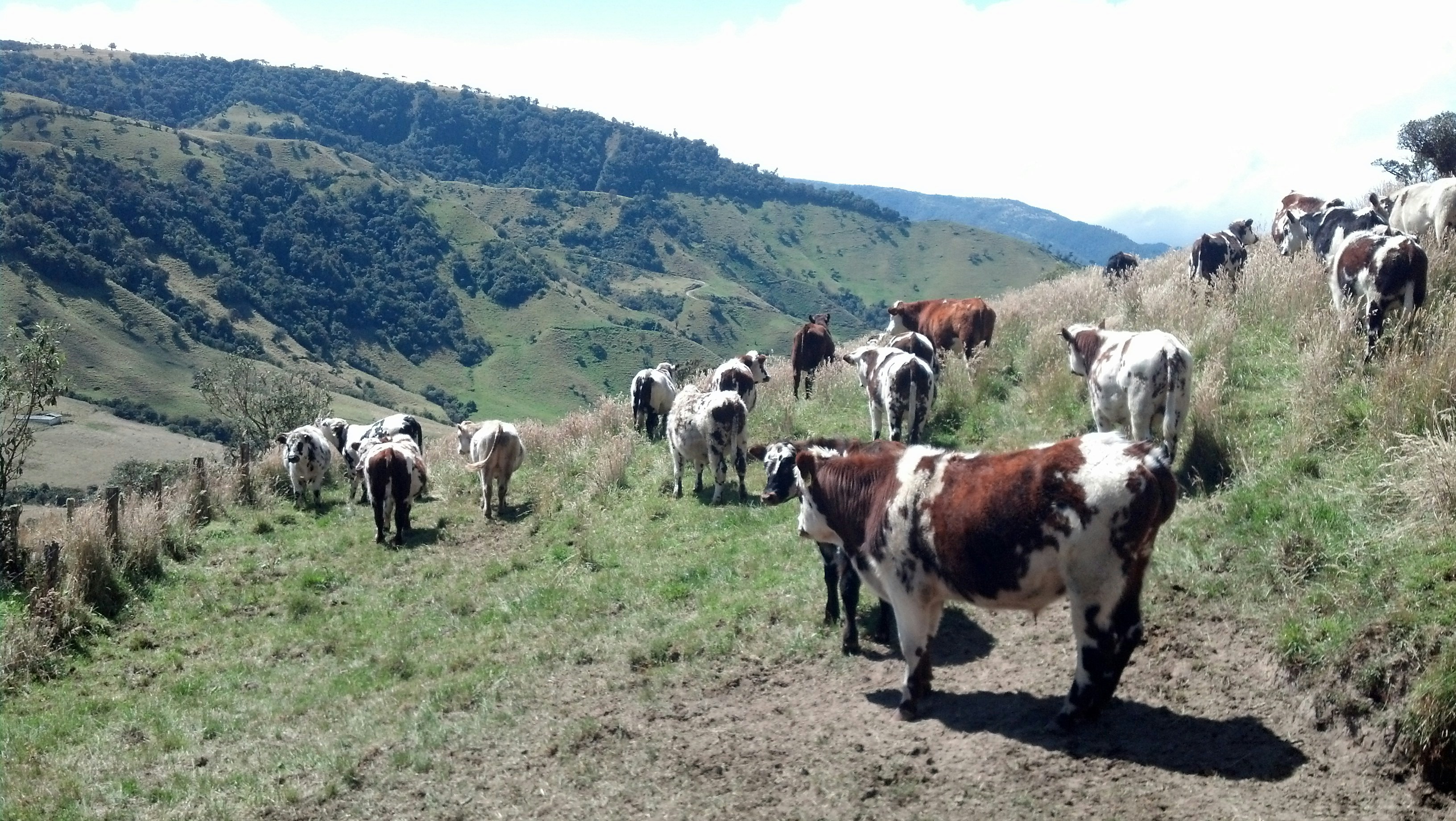 Free Unsplash photo from Jonatan Lopez