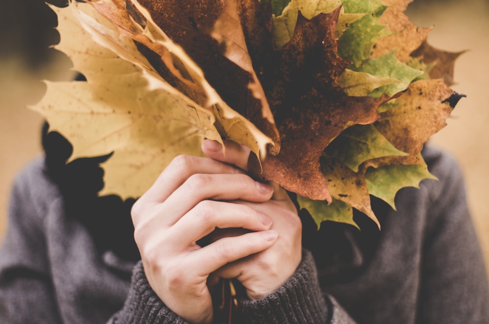 personne tenant un paquet de feuilles d’érable d’automne