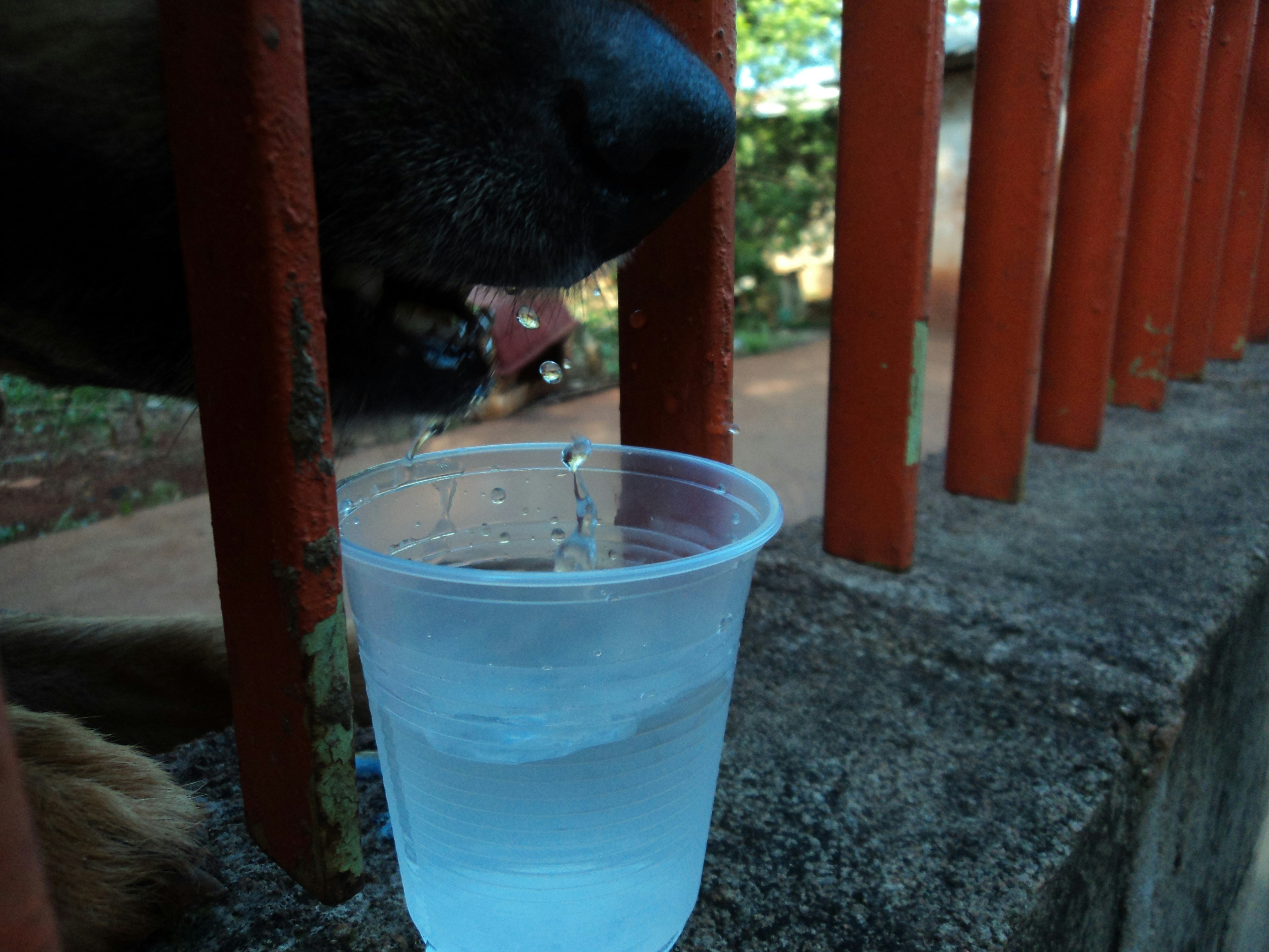 Free Unsplash photo from Thiago Tolesani