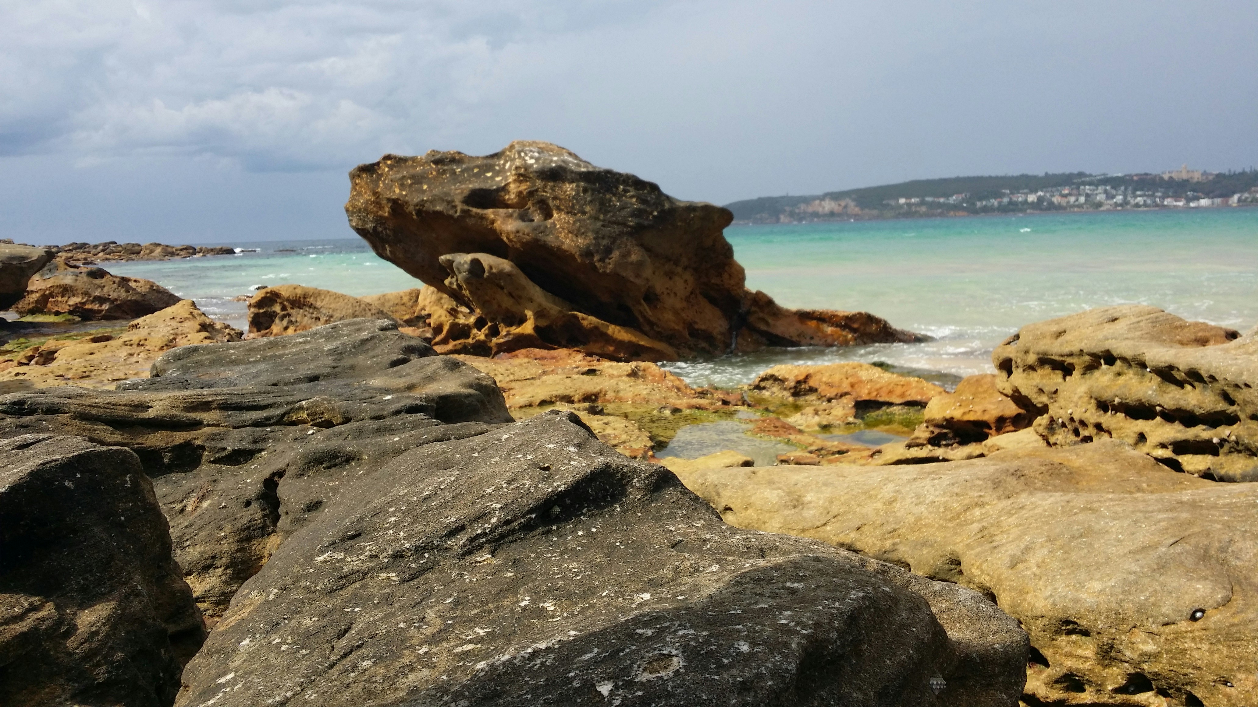 Free Unsplash photo from tina shamsabadi