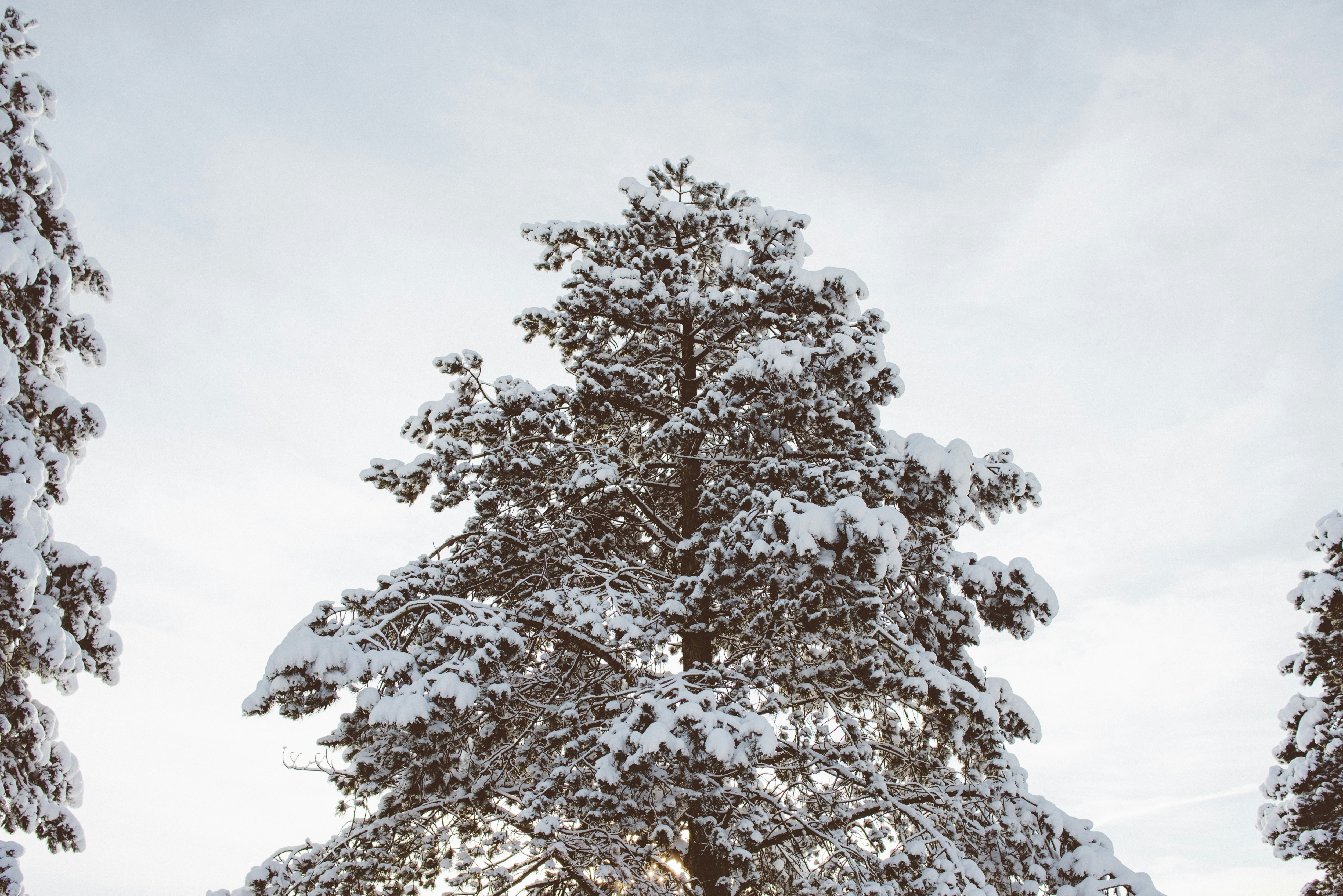 Free Unsplash photo from Philipp Molter