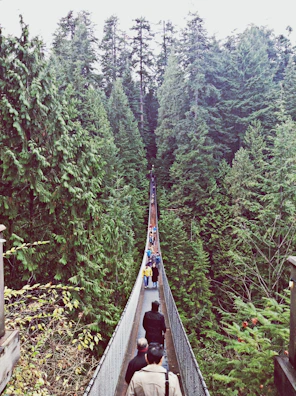 Adventure seekers crossing a wooden suspension bridge surrounded by dense greenery.