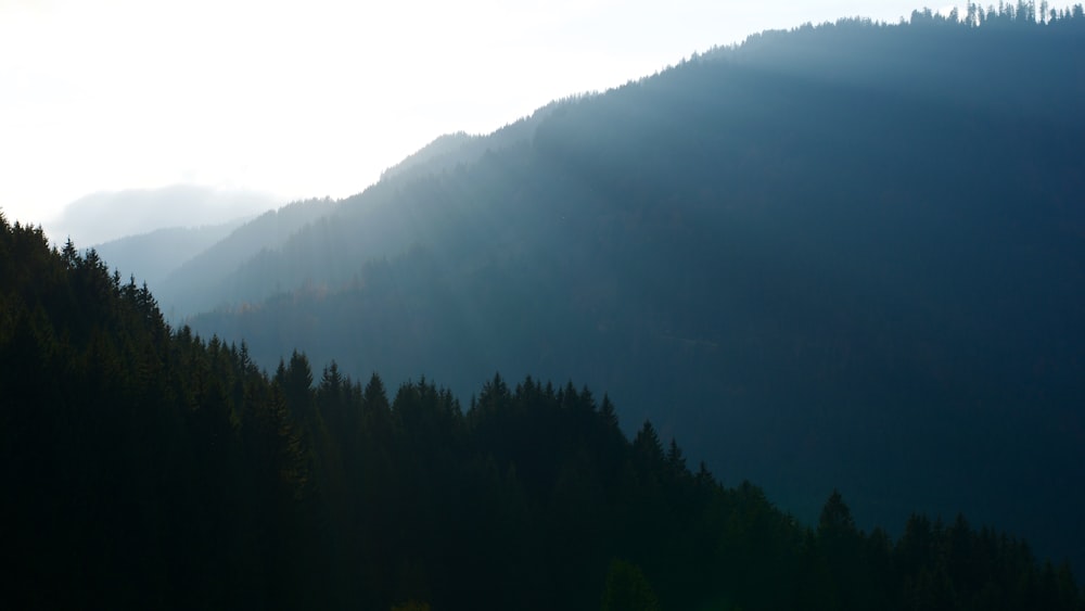 silhouette di montagna