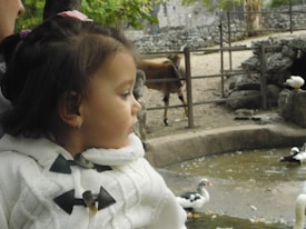 A young child wearing a white coat with toggle buttons looks intently at ducks near a pond. In the background, a small brown horse is standing behind a fence in a rocky, cobblestone environment. The setting suggests a farm or a petting zoo with scattered green foliage.
