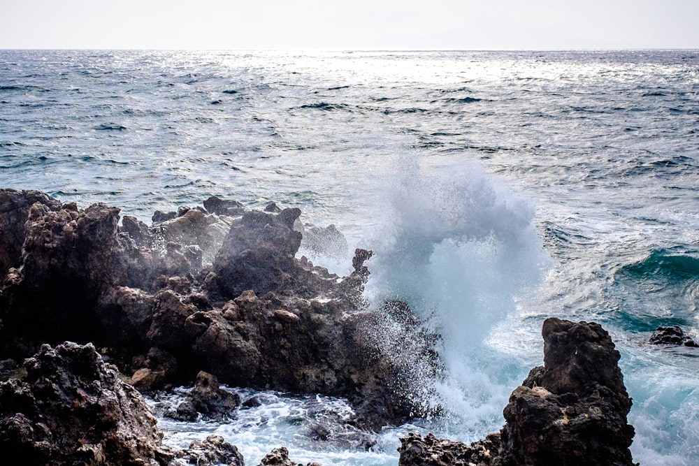 ola de mar sobre las rocas