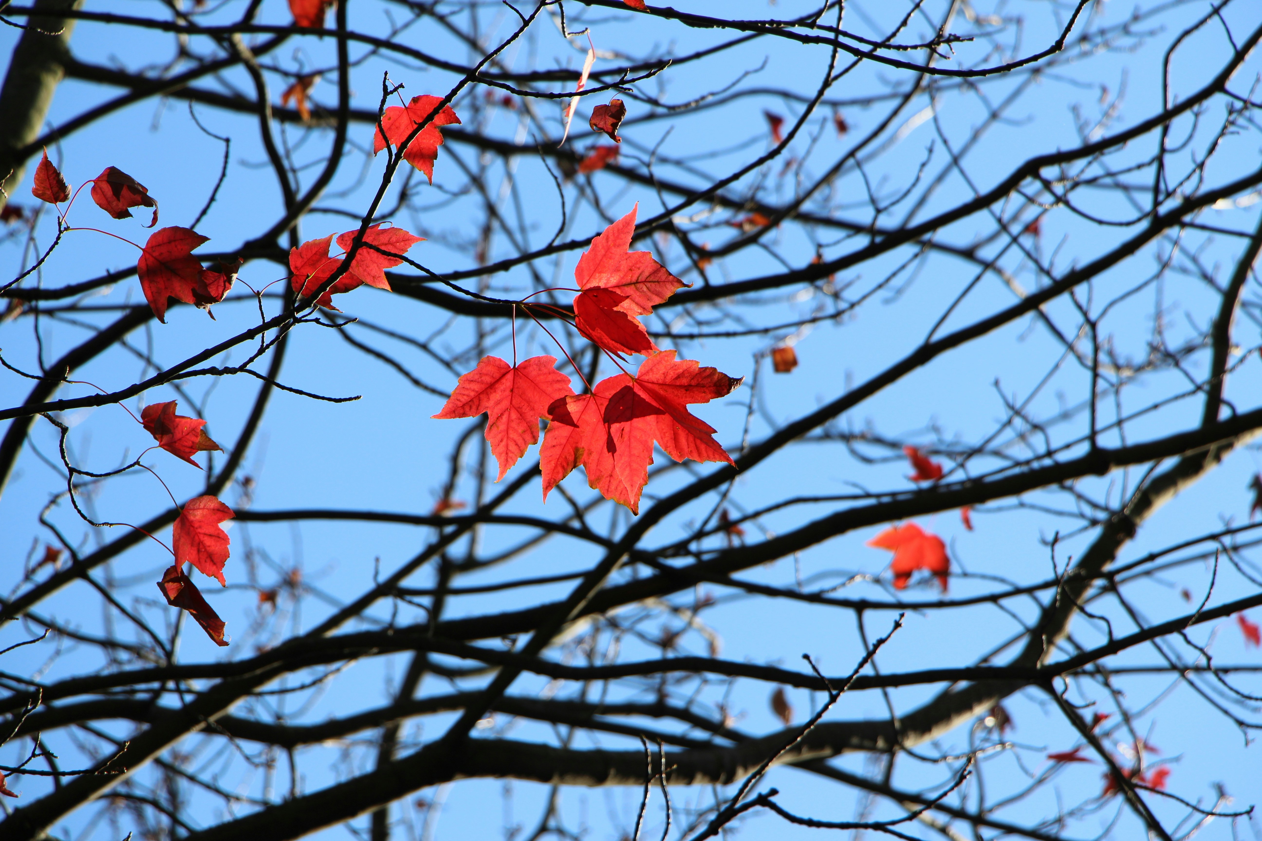 Photo By Marcela Andrade