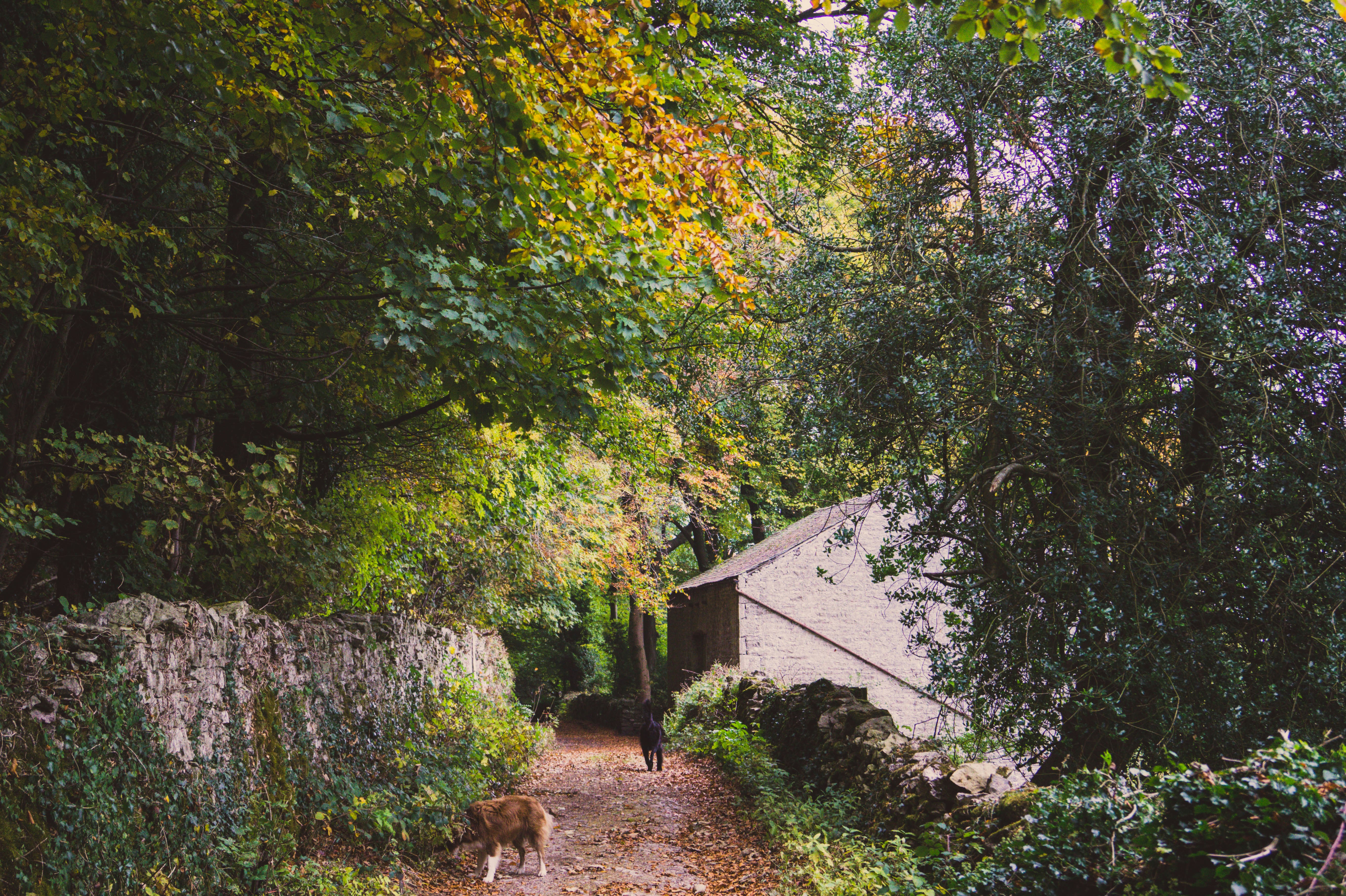 Free Unsplash photo from Matt Jones