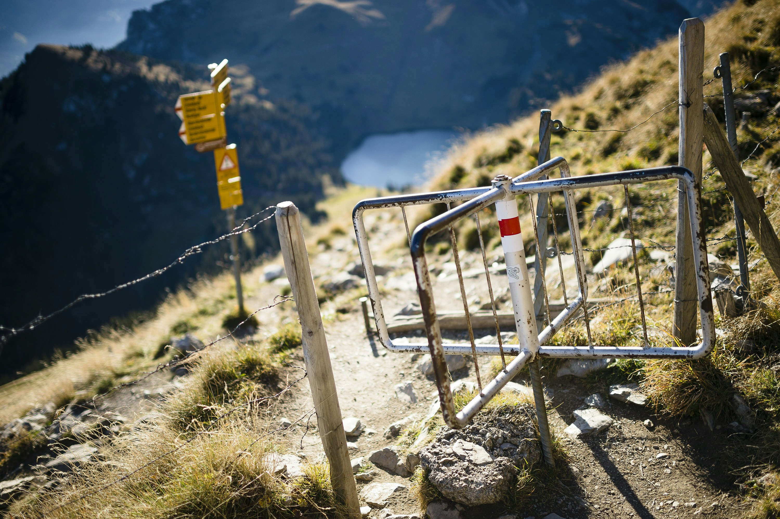 Free Unsplash photo from Manuel Lopez