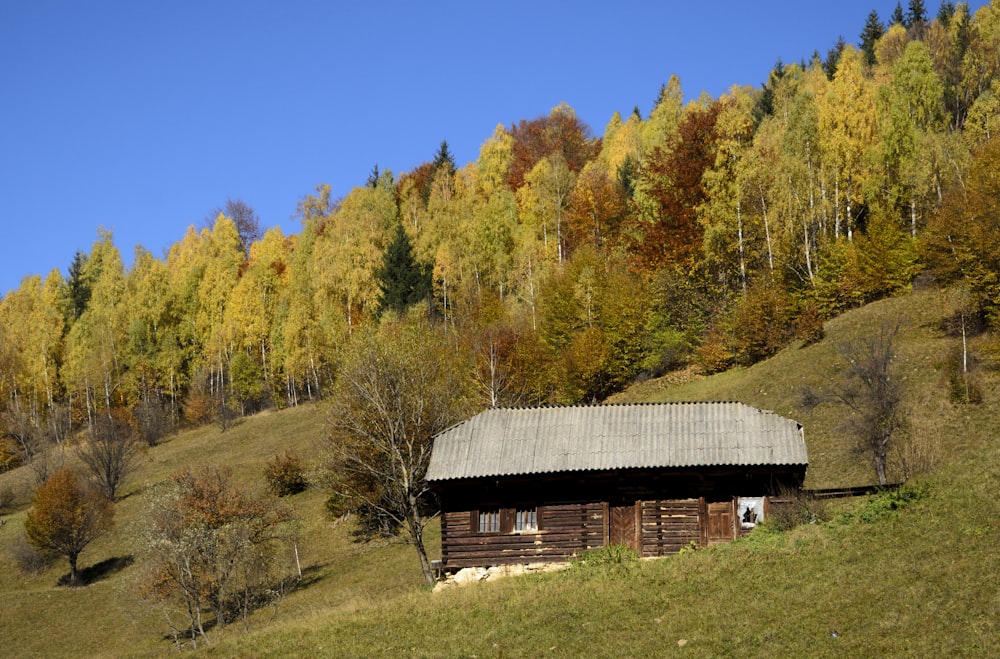 braune Holzhütte in der Nähe von Wald