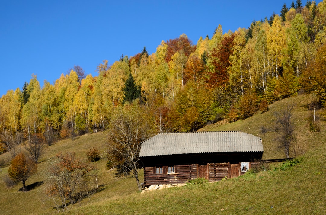 Hill photo spot PeÈ™tera Bucegi