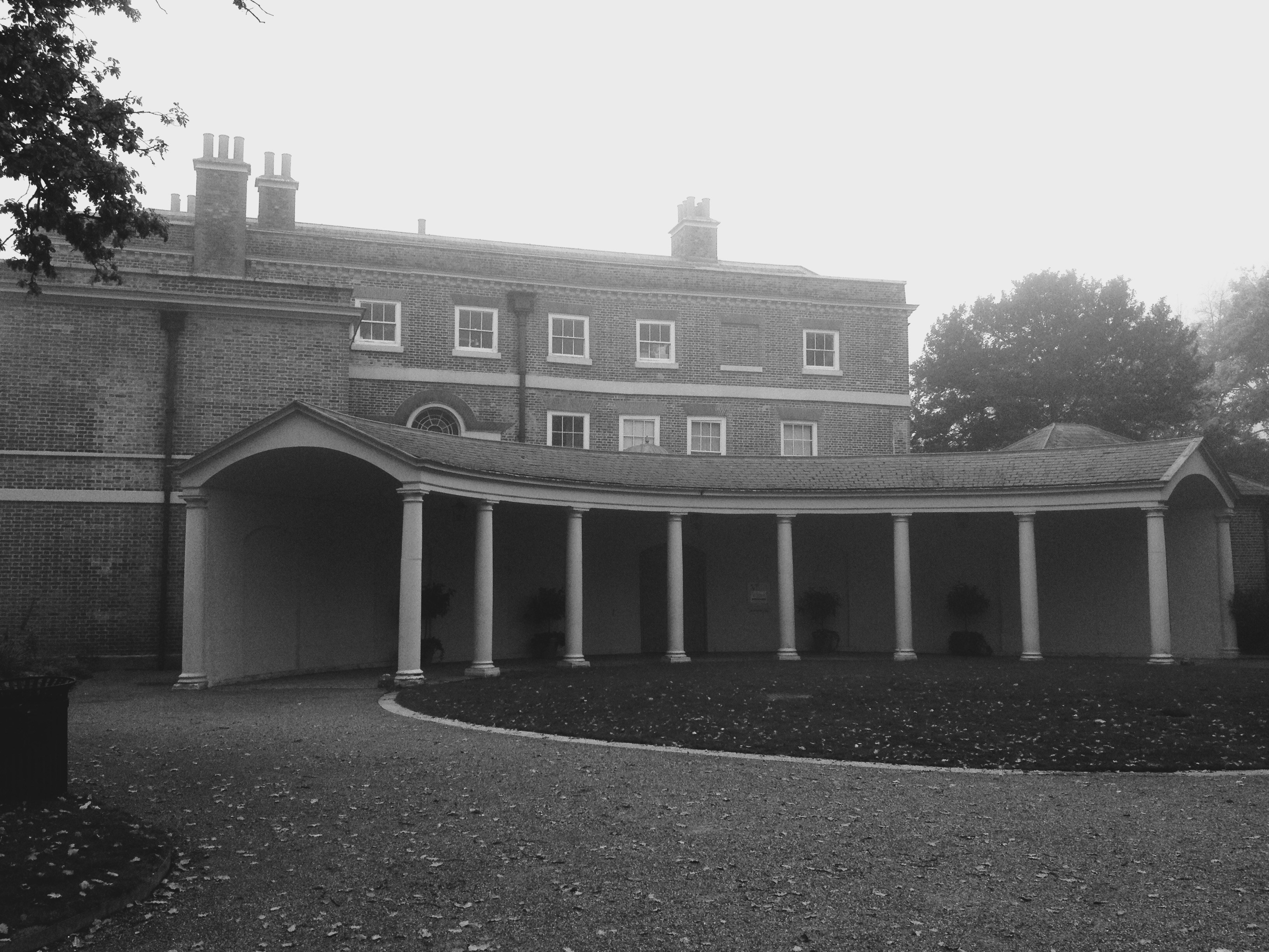 Free Unsplash photo from Abbey Bhatty