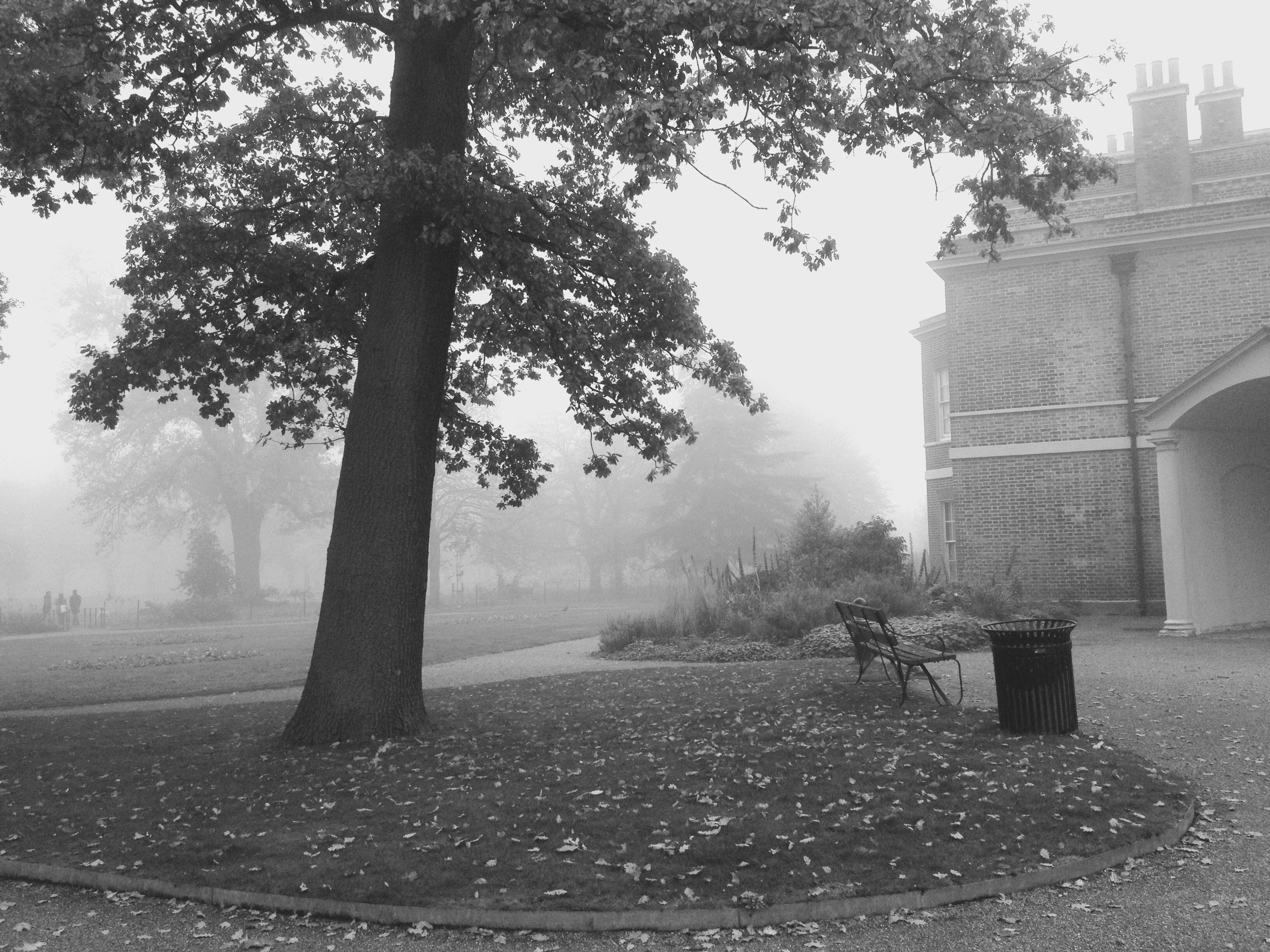 Free Unsplash photo from Abbey Bhatty