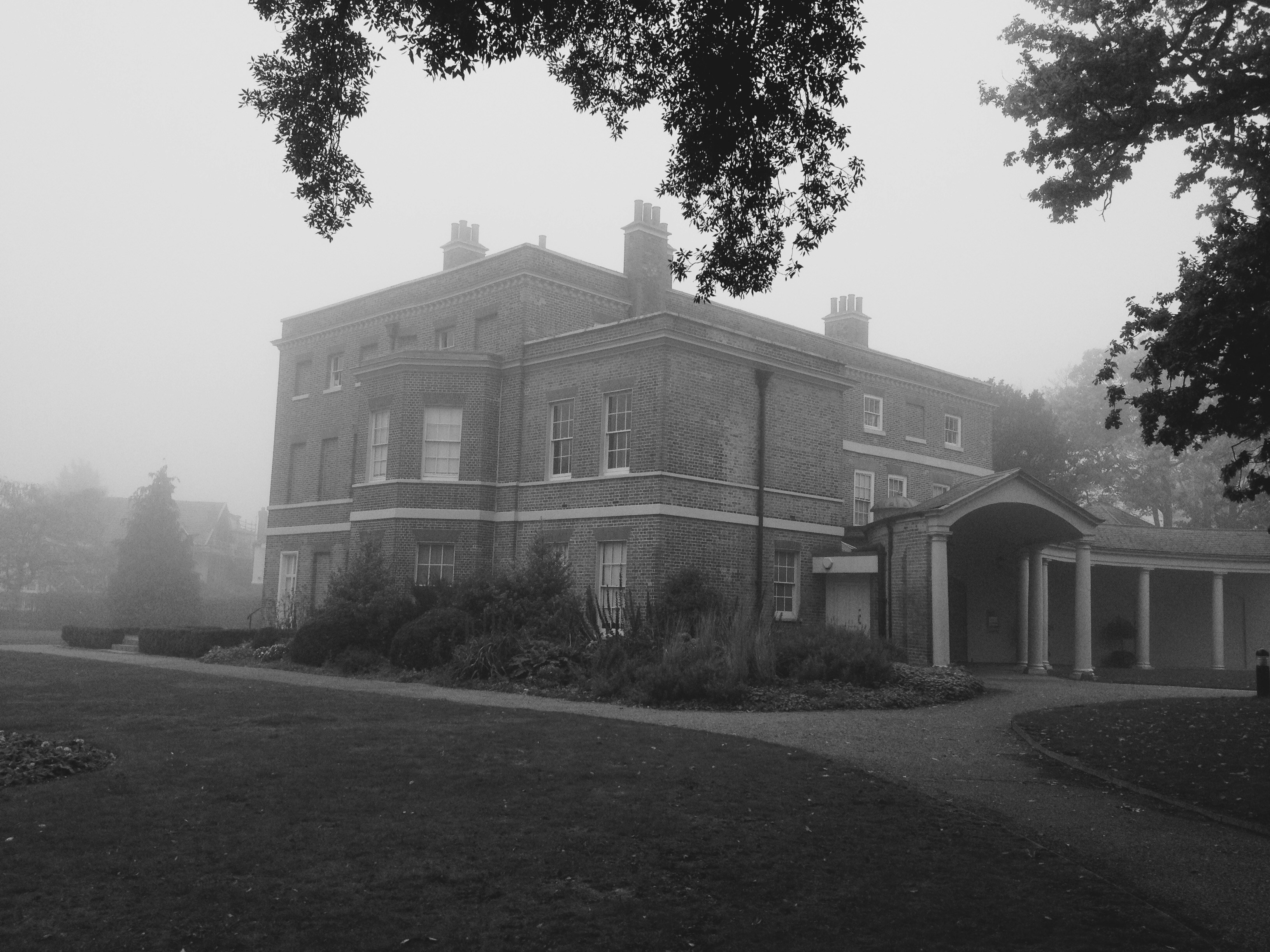 Free Unsplash photo from Abbey Bhatty