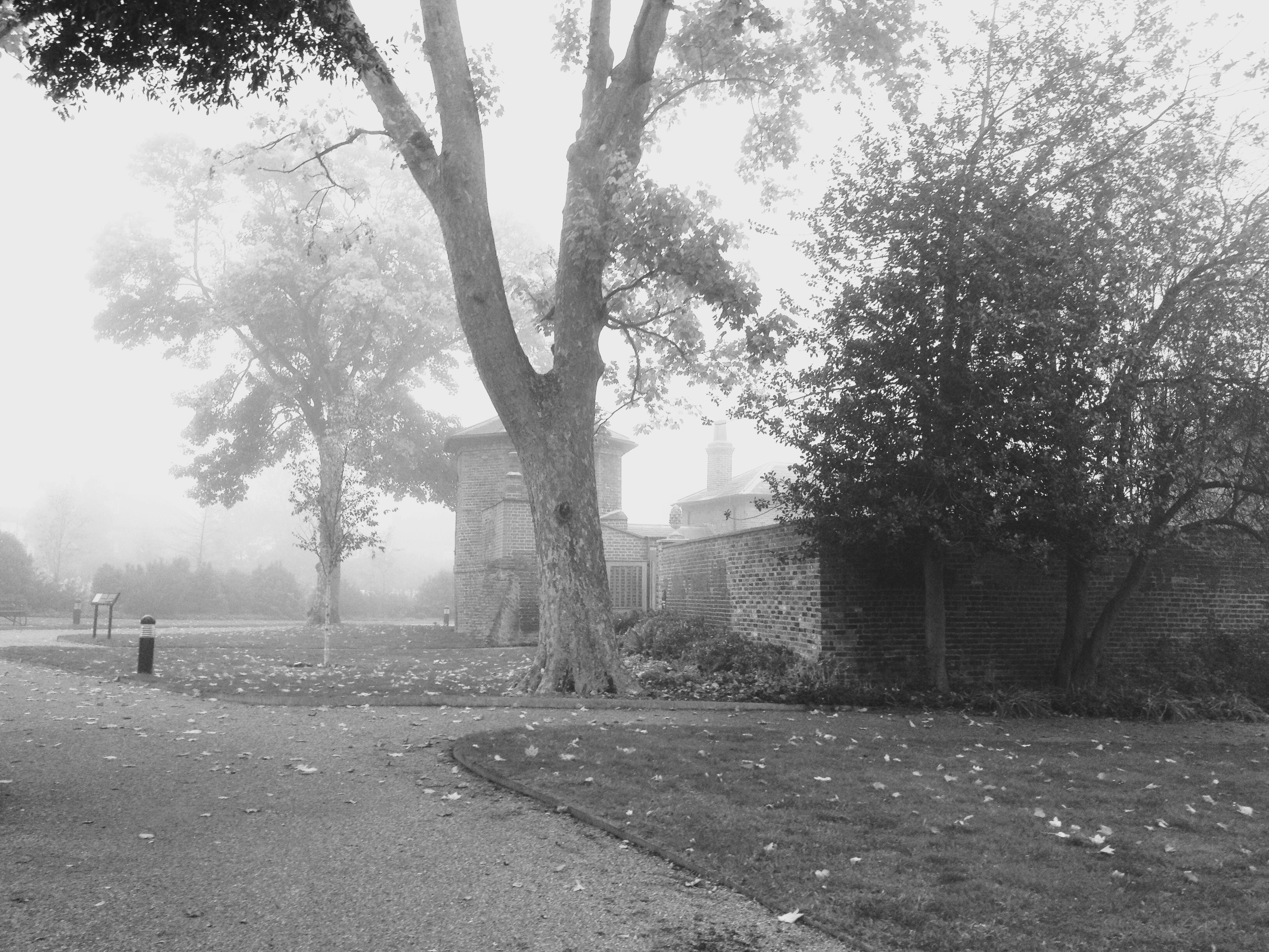 Free Unsplash photo from Abbey Bhatty