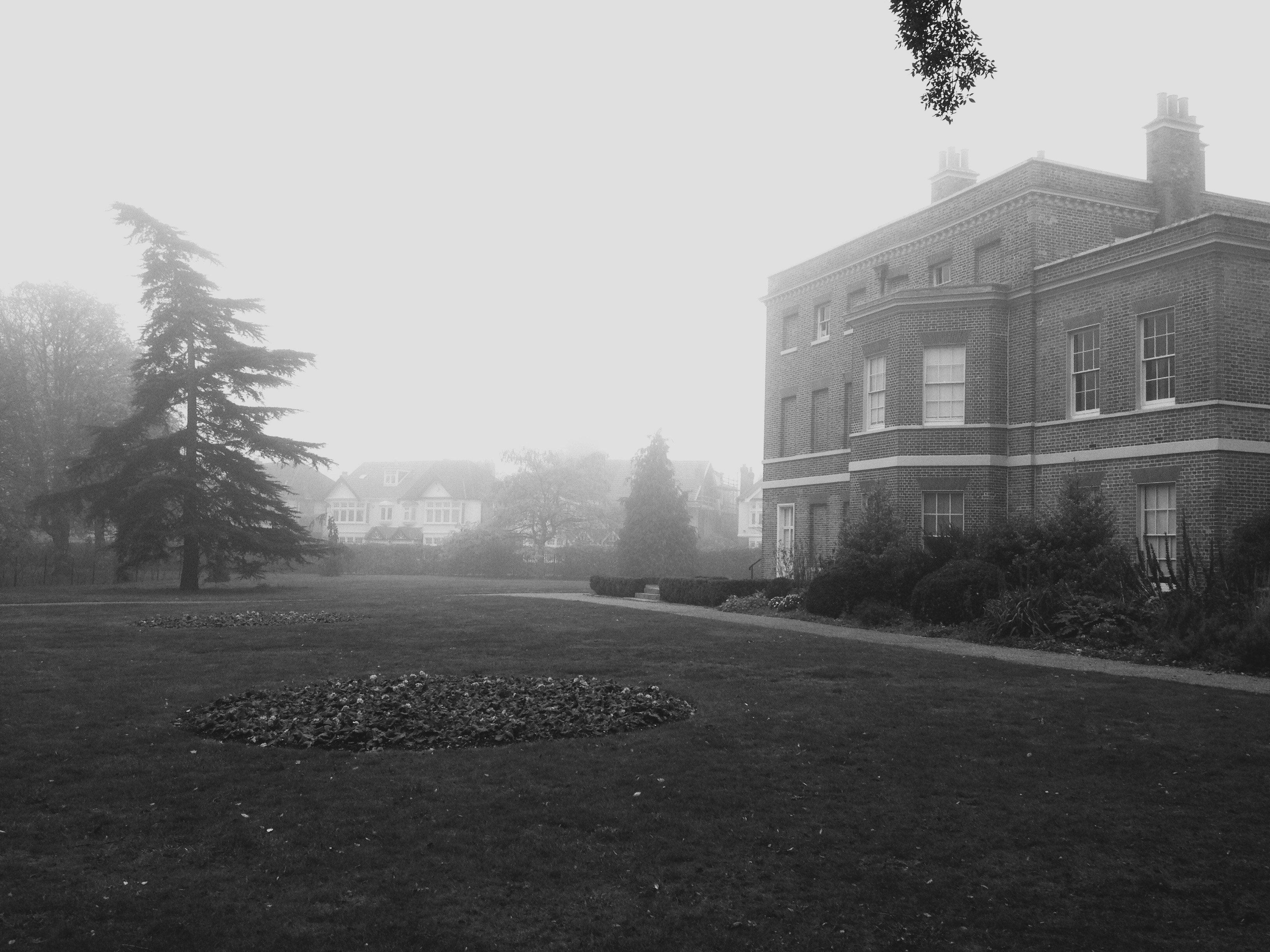 Free Unsplash photo from Abbey Bhatty