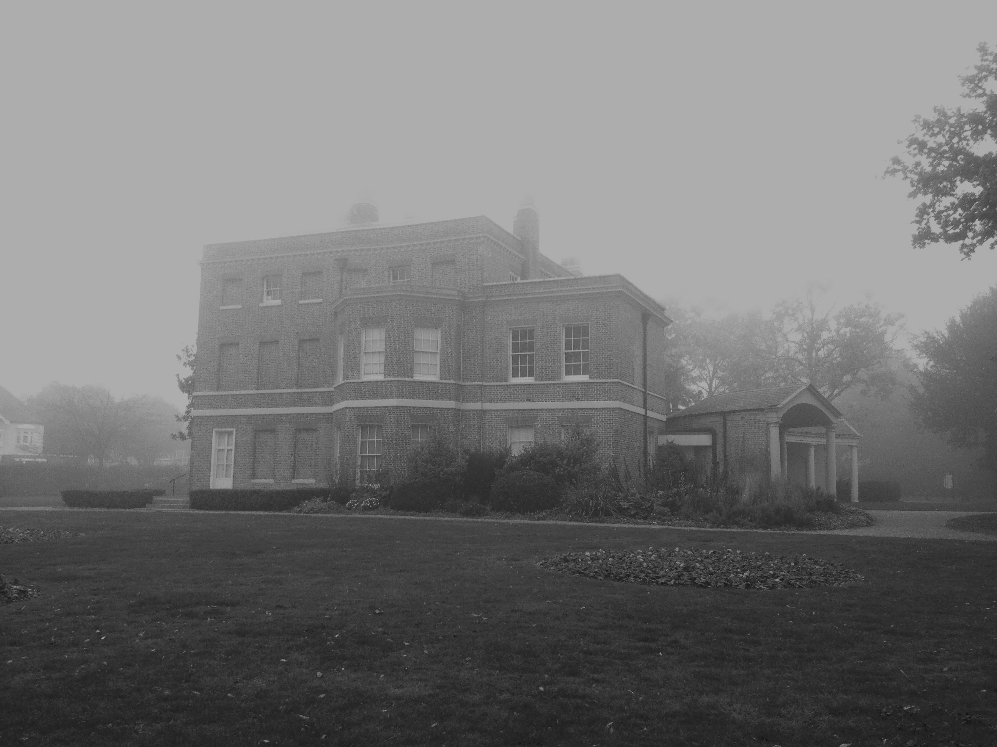 Free Unsplash photo from Abbey Bhatty