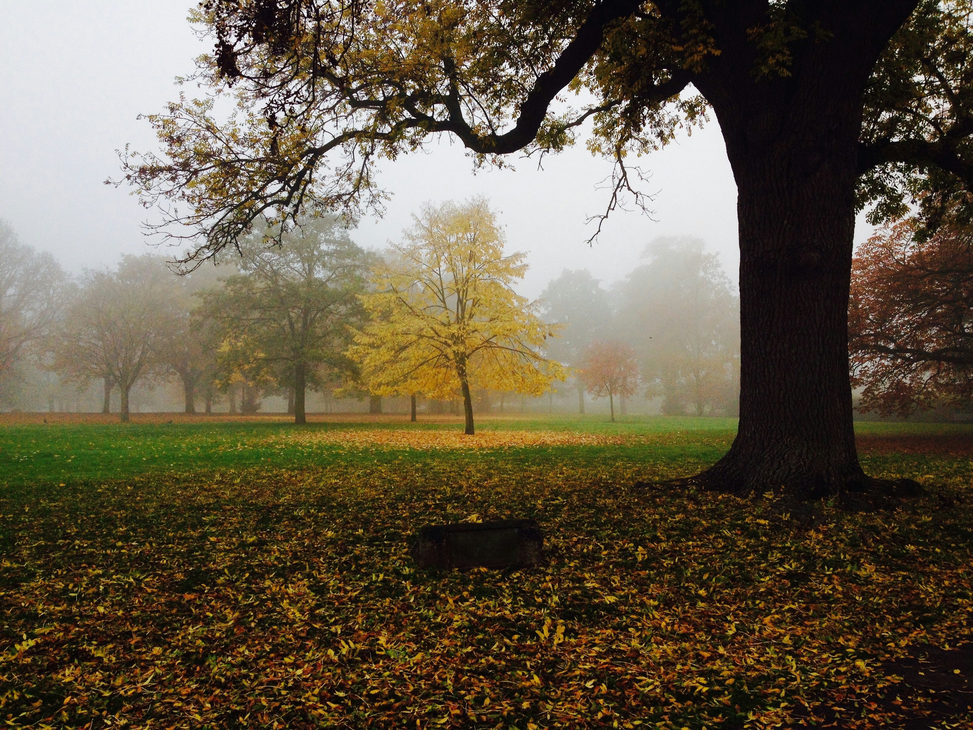 Free Unsplash photo from Abbey Bhatty