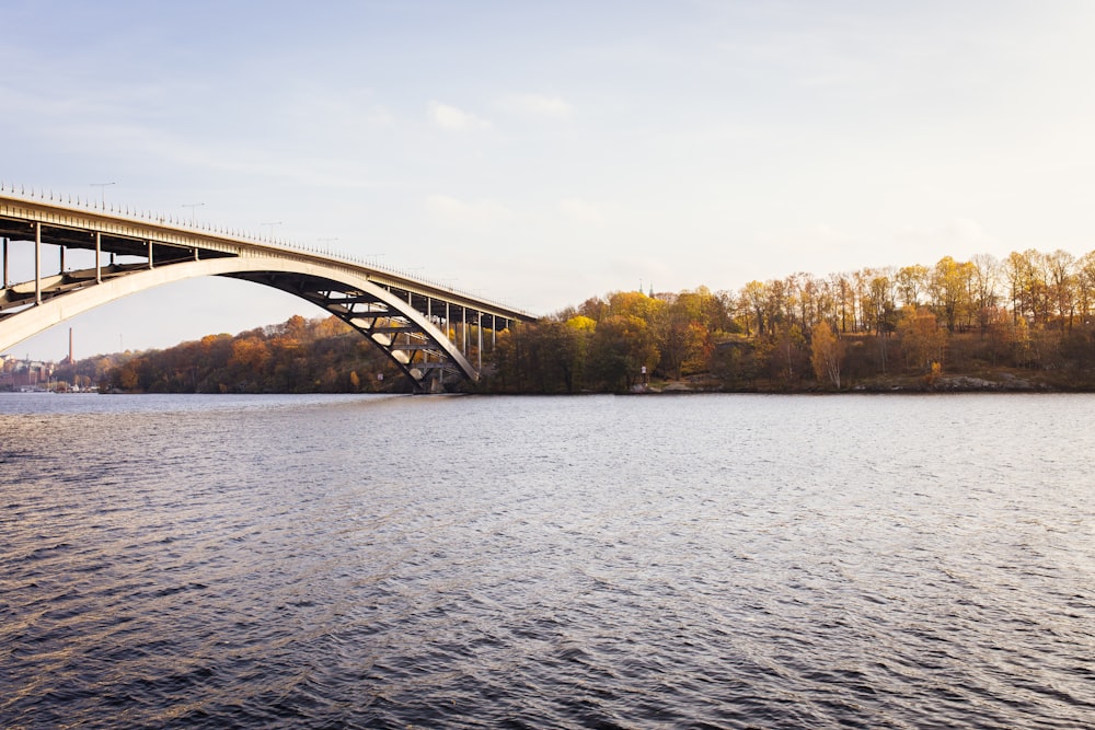 body of water under of walk bridge