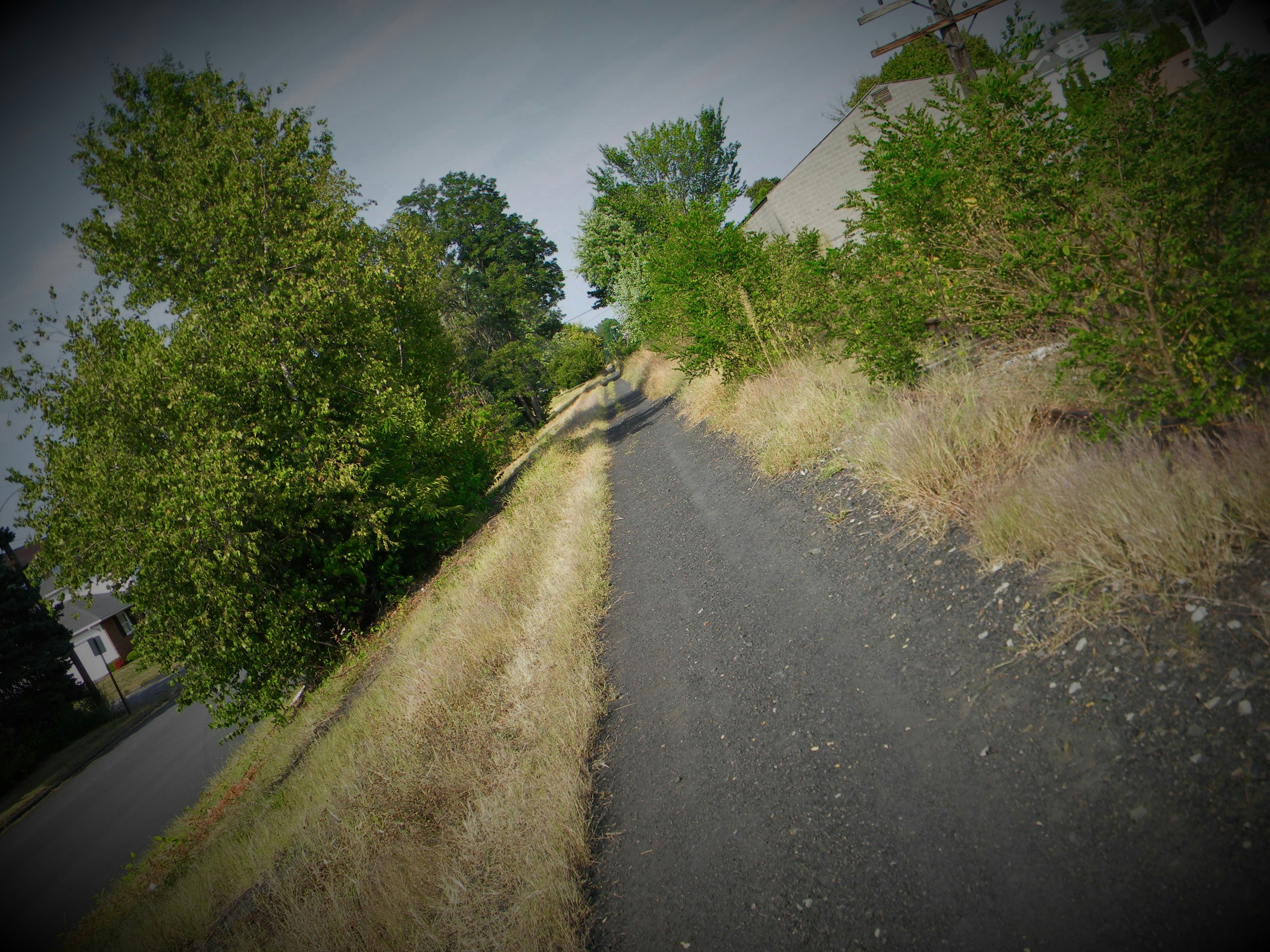 Free Unsplash photo from Kendle Peters