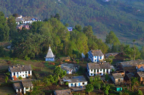 Traditional Uttarakhand village with stone cottages surrounded by pine forests