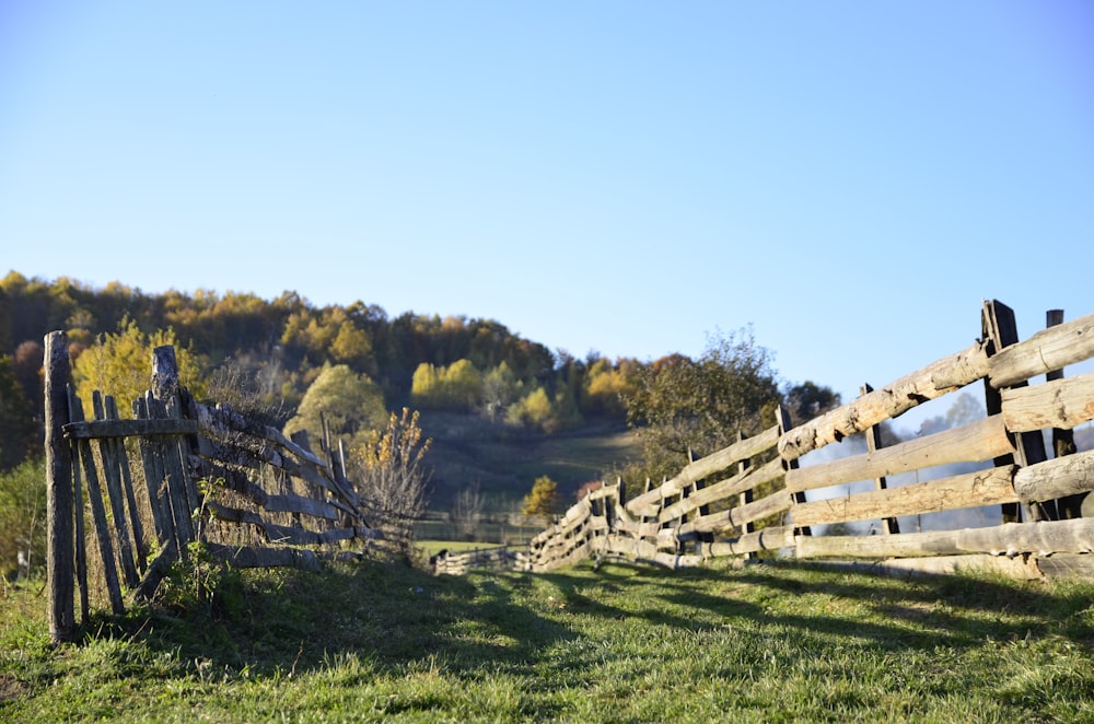 campo in erba verde con staccionata in legno