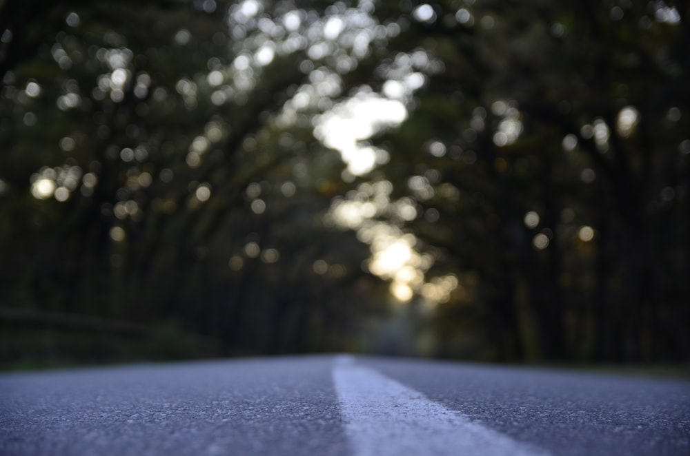 black asphalt road between tree line