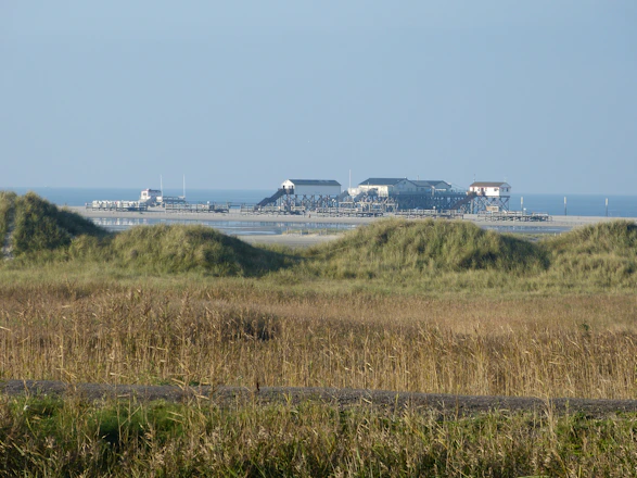 A serene coastal Hamptons home bathed in soft sunlight with beach dunes in the background.