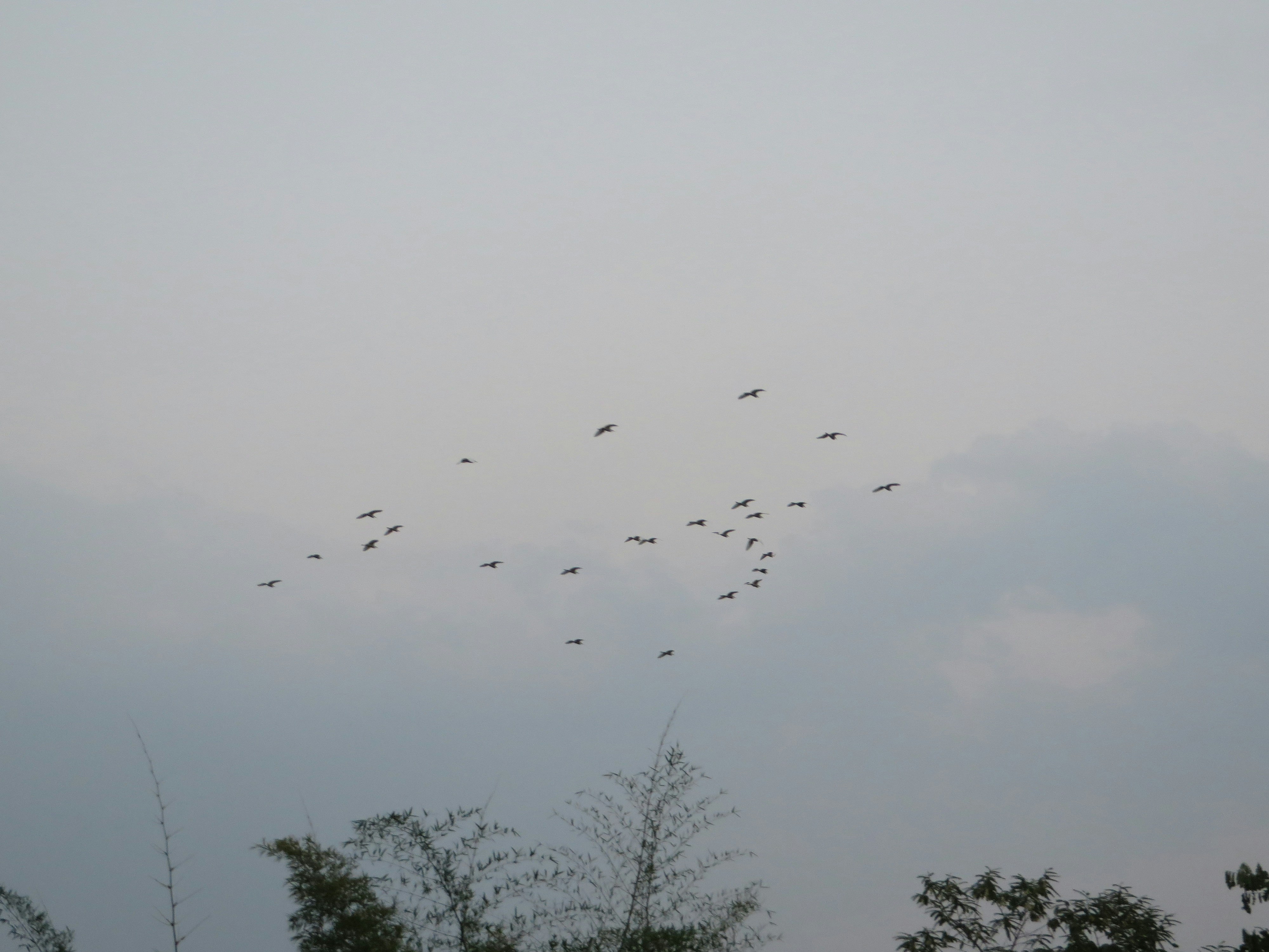 Free Unsplash photo from Yesha Doshi