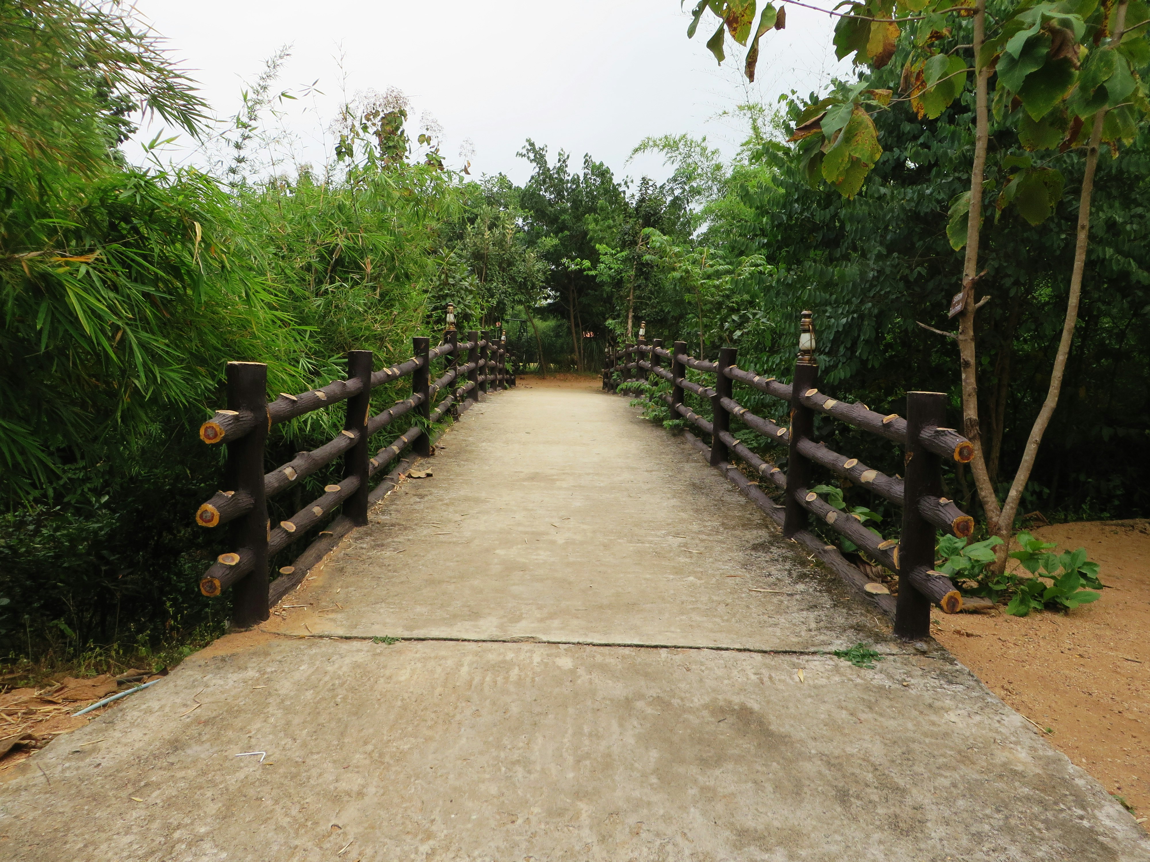 Free Unsplash photo from Yesha Doshi