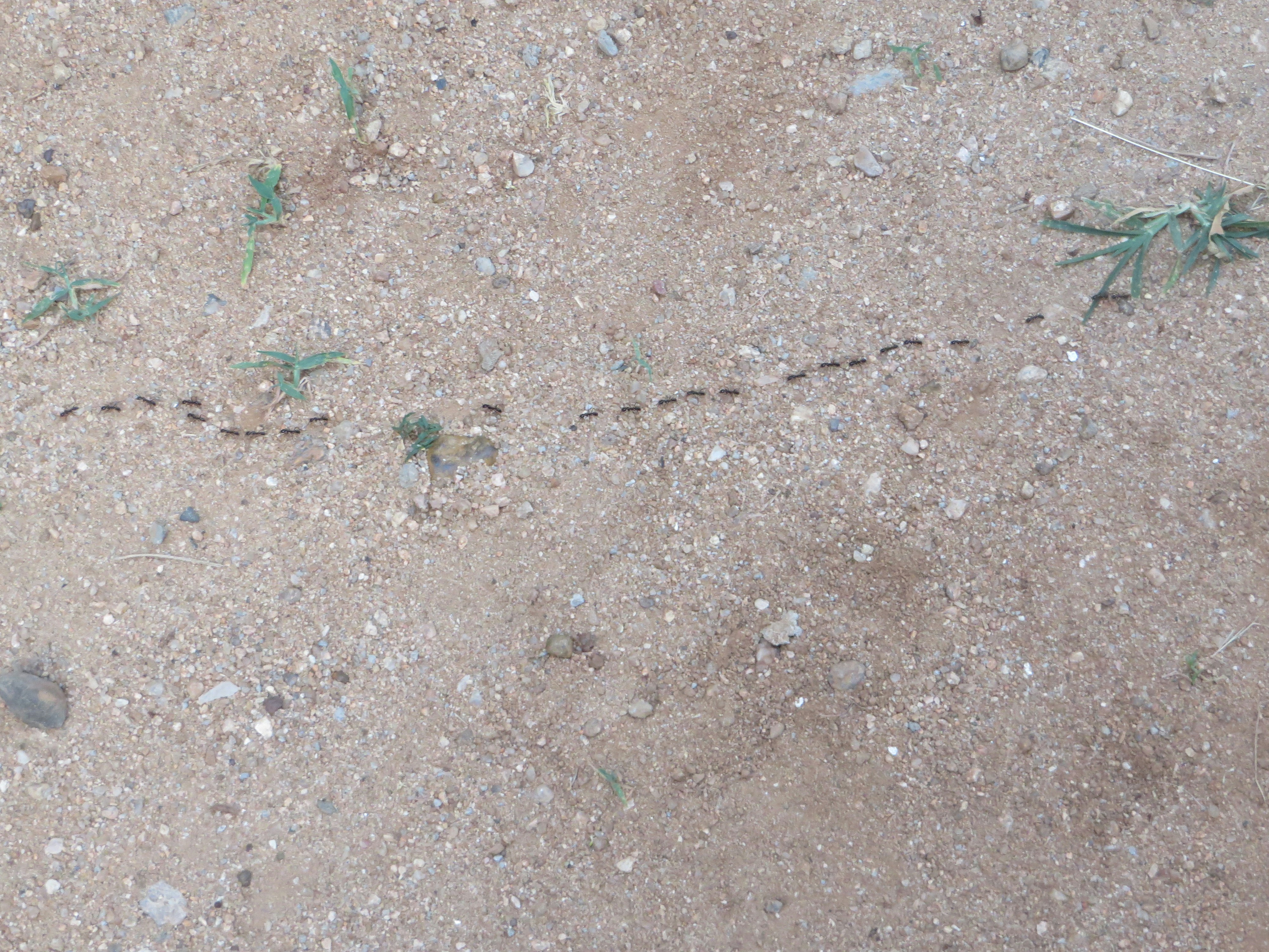 Free Unsplash photo from Yesha Doshi