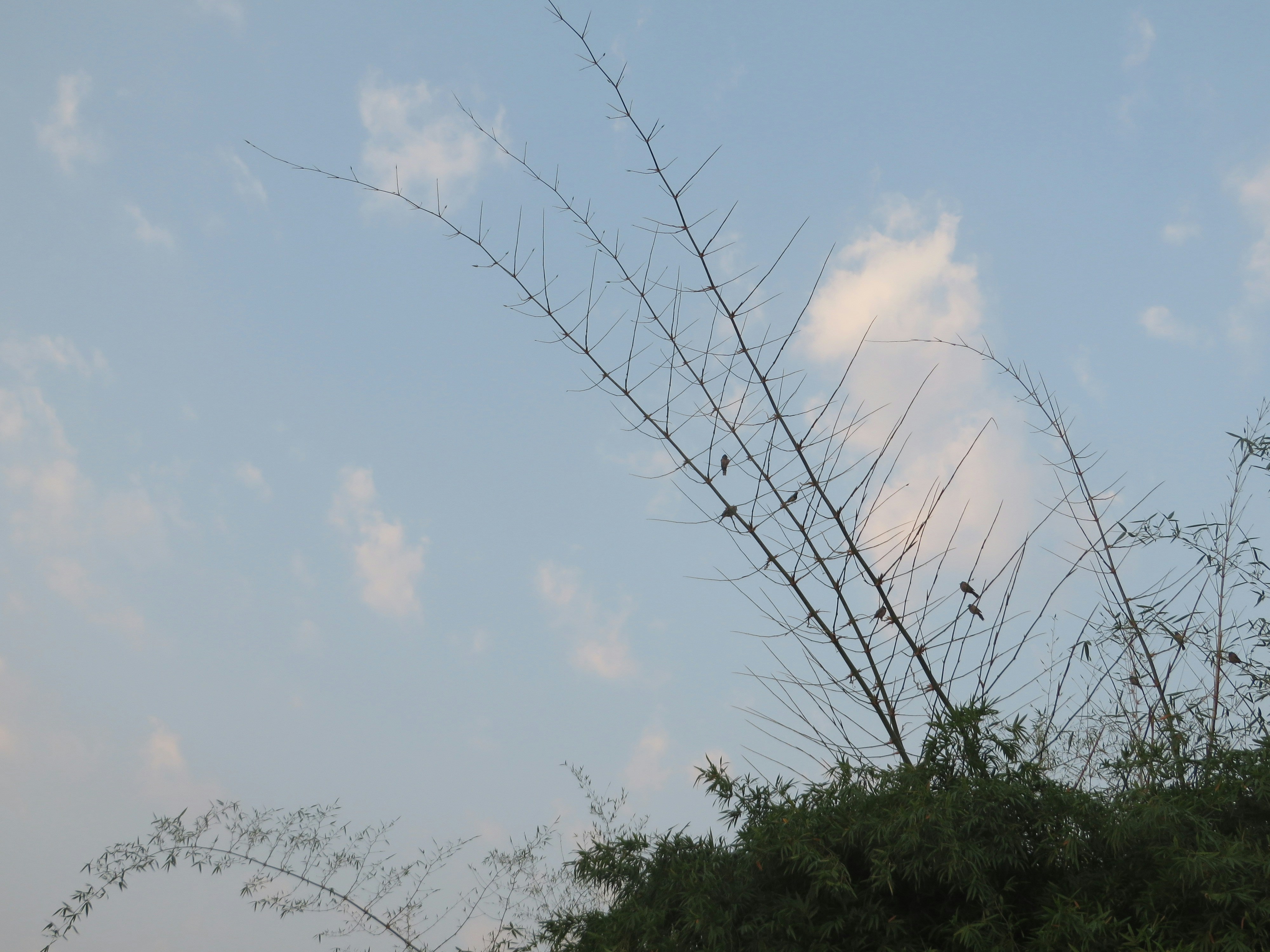 Free Unsplash photo from Yesha Doshi