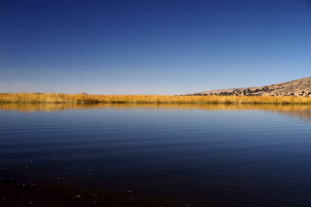 body of water near mountain