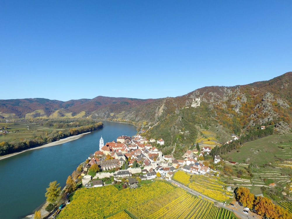 village near body of water during daytime