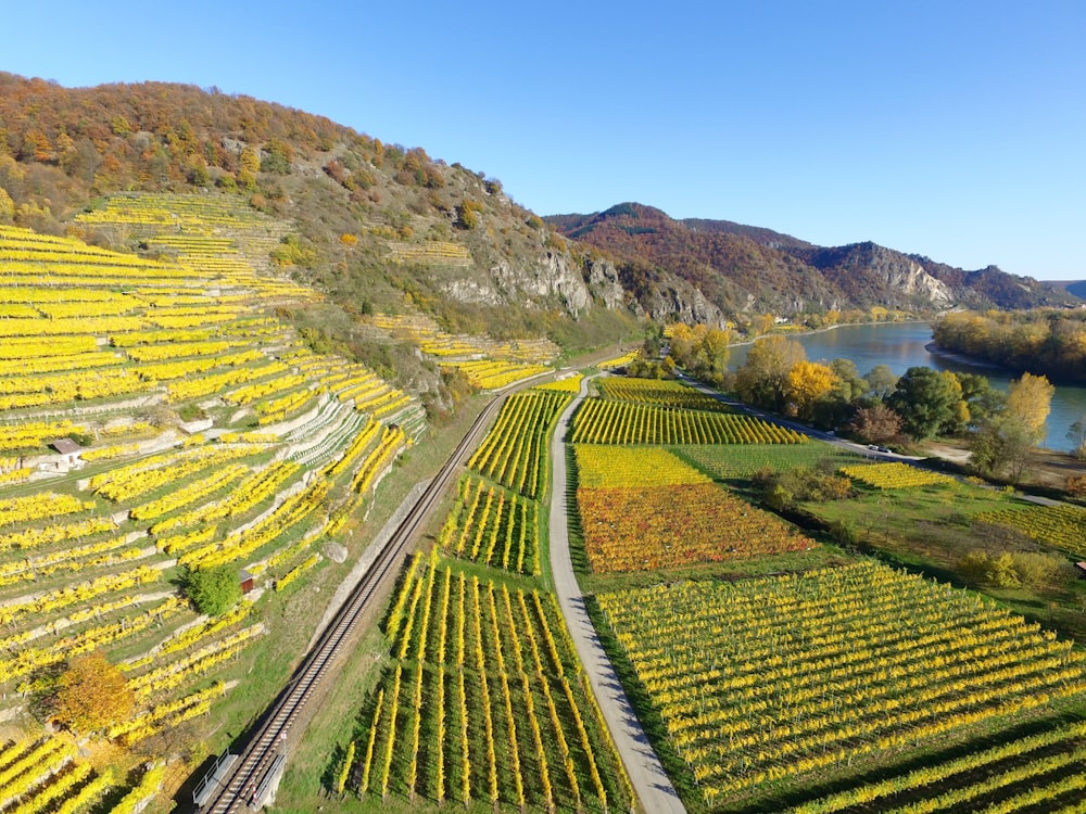 bird's eye view of farm