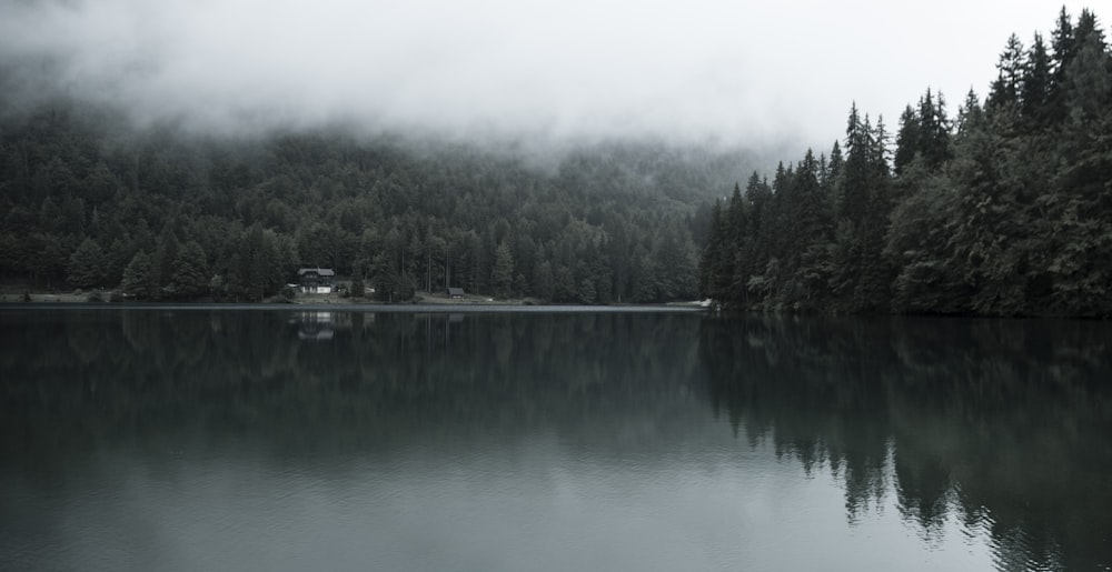 Plan d’eau sous brouillard