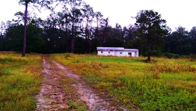 A rural landscape featuring a dirt path leading to a small, white, rectangular building with a metal roof, set amidst grassy fields. Tall trees form a dense forest backdrop under an overcast sky.