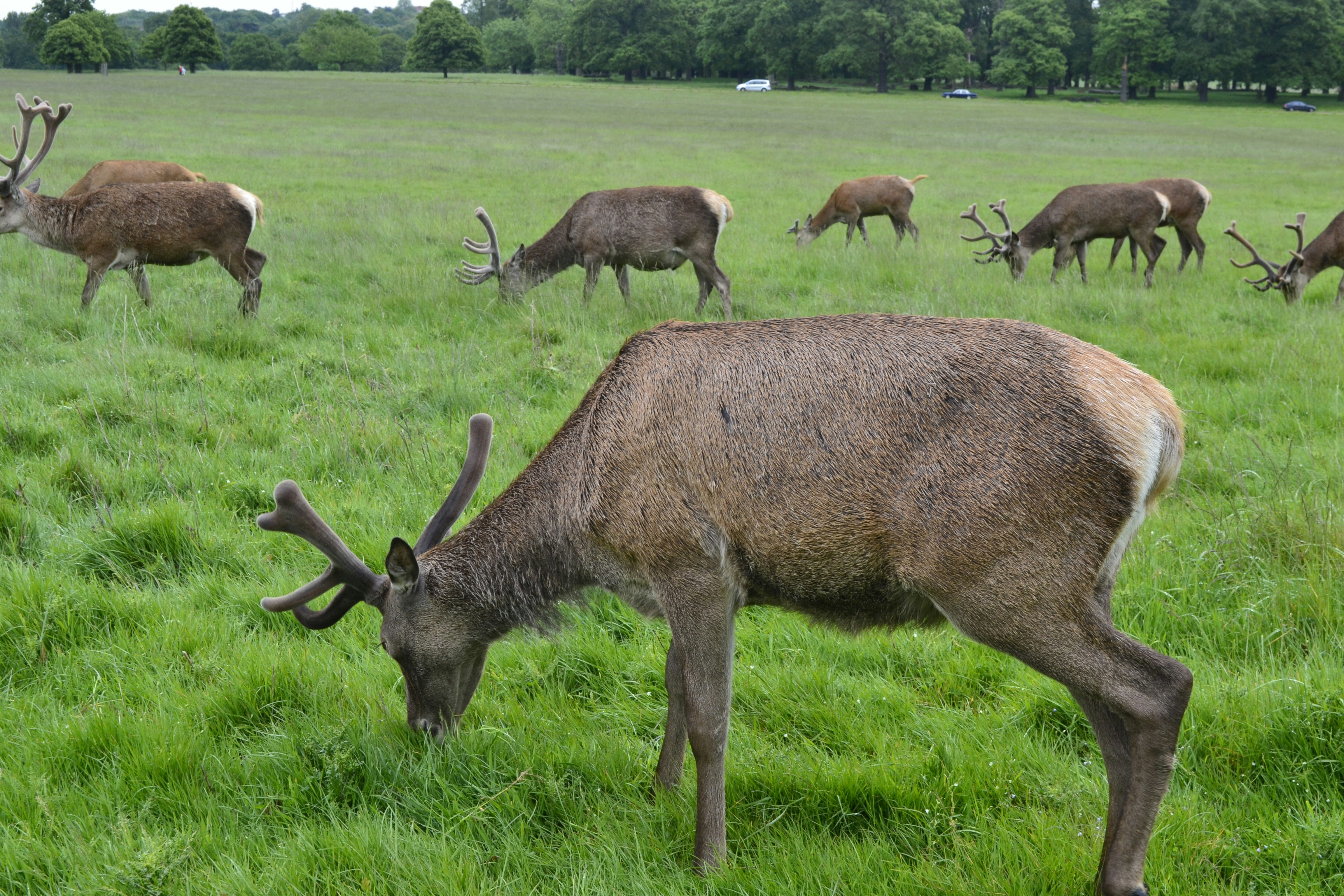 Free Unsplash photo from Edem kofi Boni