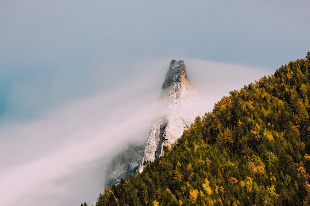 mountain cover fog
