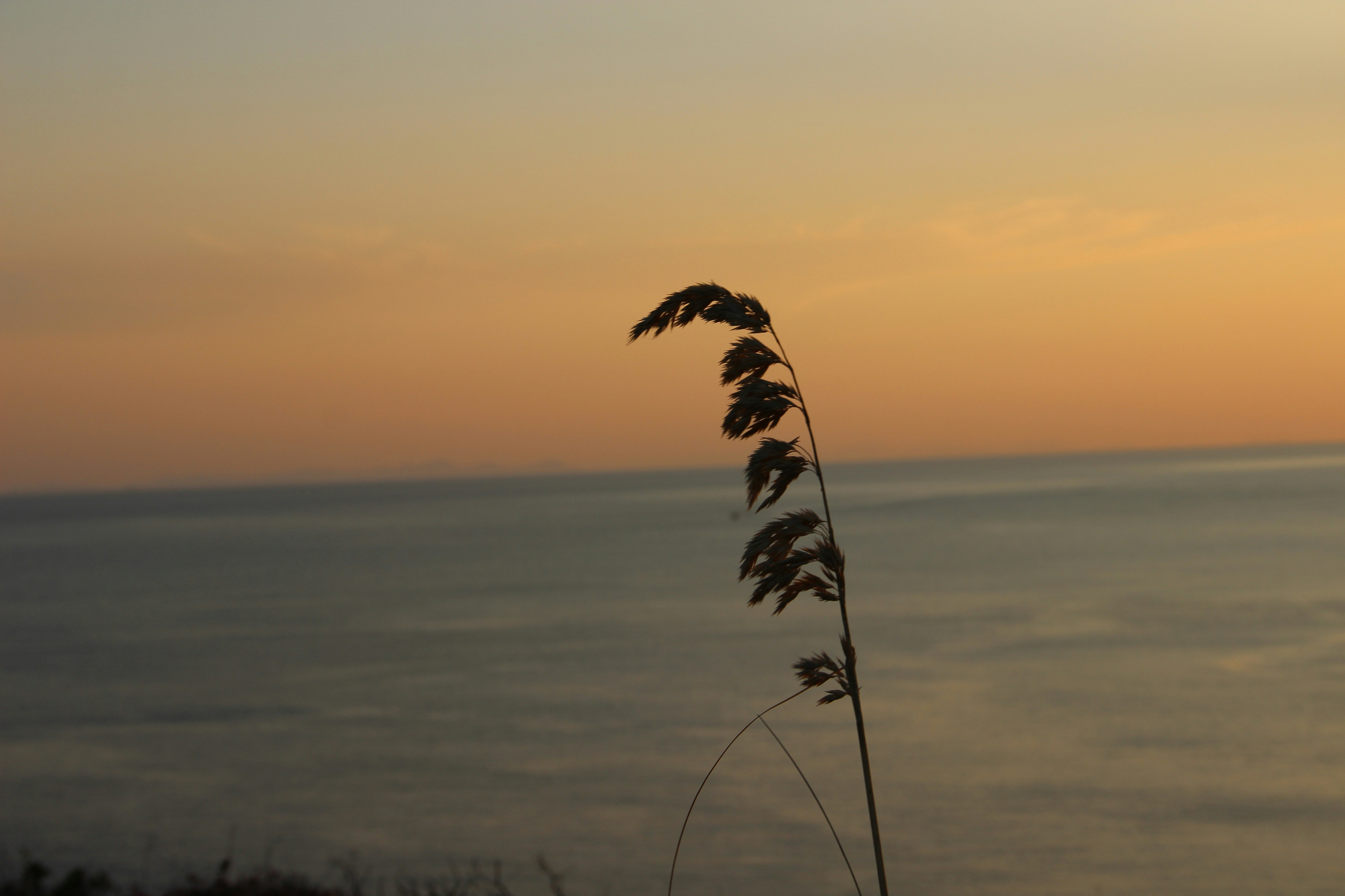 Free Unsplash photo from Dimitri Tyan