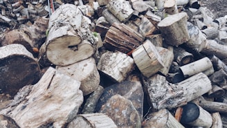 A pile of chopped firewood consists of various sizes of logs and tree stumps. The logs are stacked in an irregular manner, showcasing different textures and shades of brown and gray. Some of the logs have visible bark, while others are more stripped and weathered.