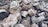 A pile of chopped firewood consists of various sizes of logs and tree stumps. The logs are stacked in an irregular manner, showcasing different textures and shades of brown and gray. Some of the logs have visible bark, while others are more stripped and weathered.