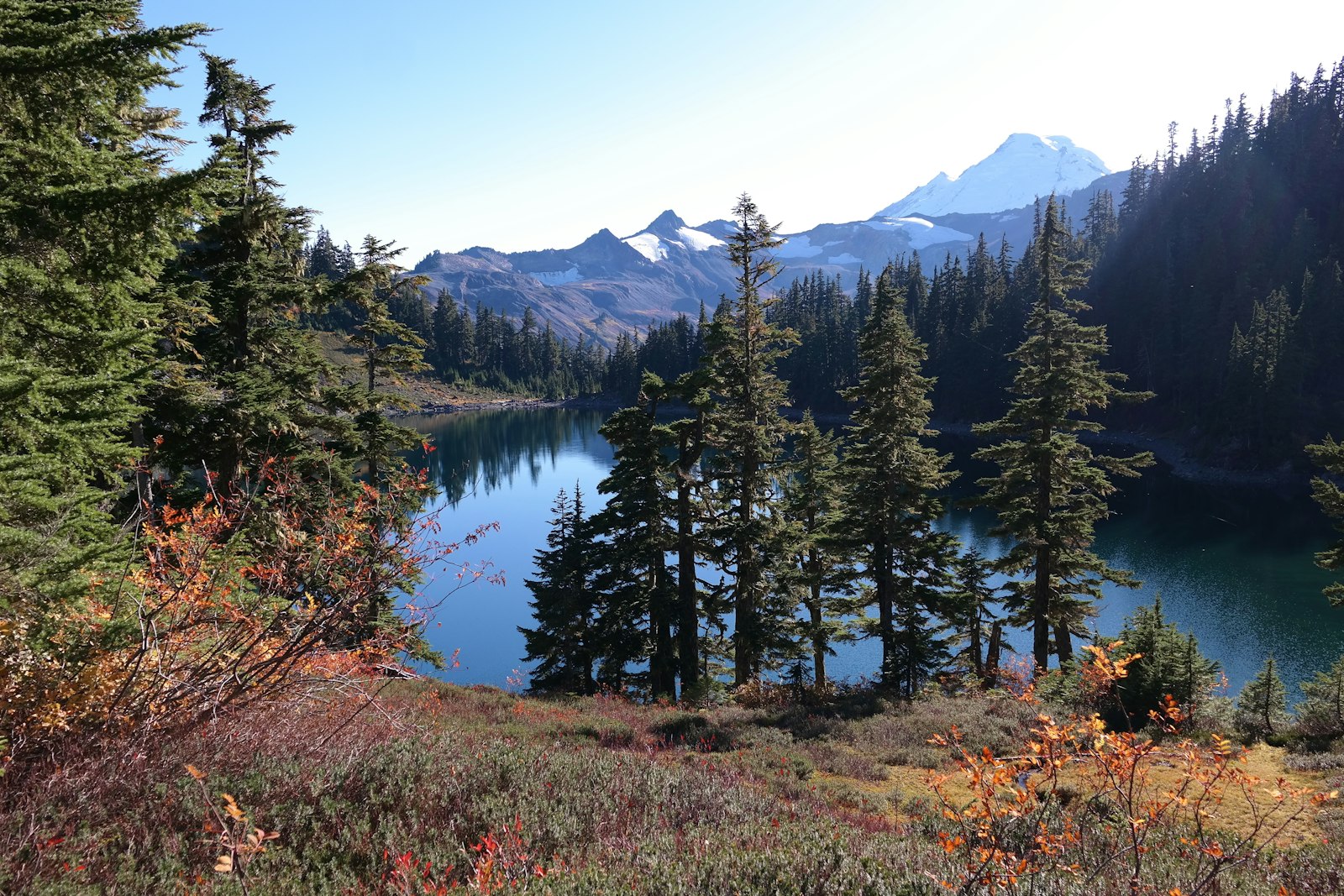 Samsung NX300 sample photo. Lake surrounded by pine photography